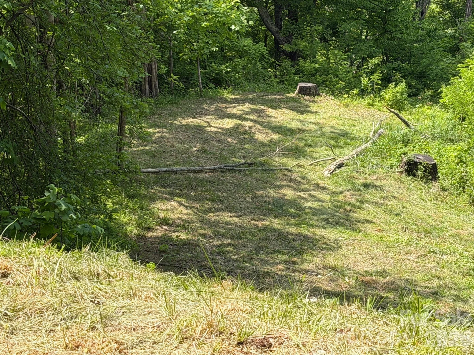 399 Goodson Spring Road - Photo 19