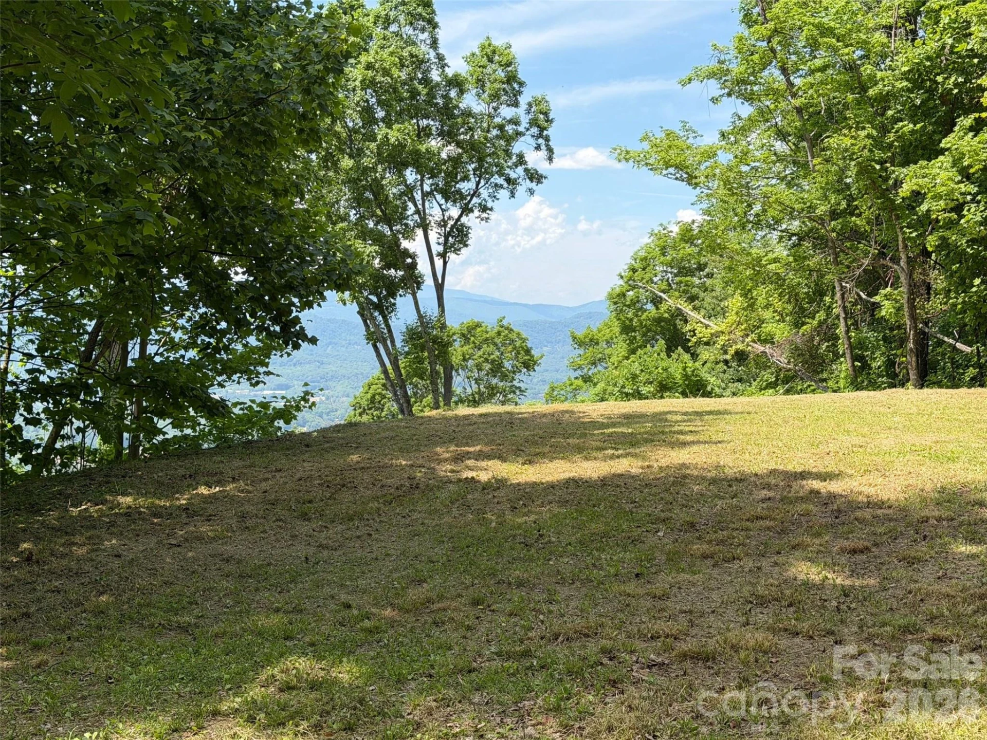 399 Goodson Spring Road - Photo 23
