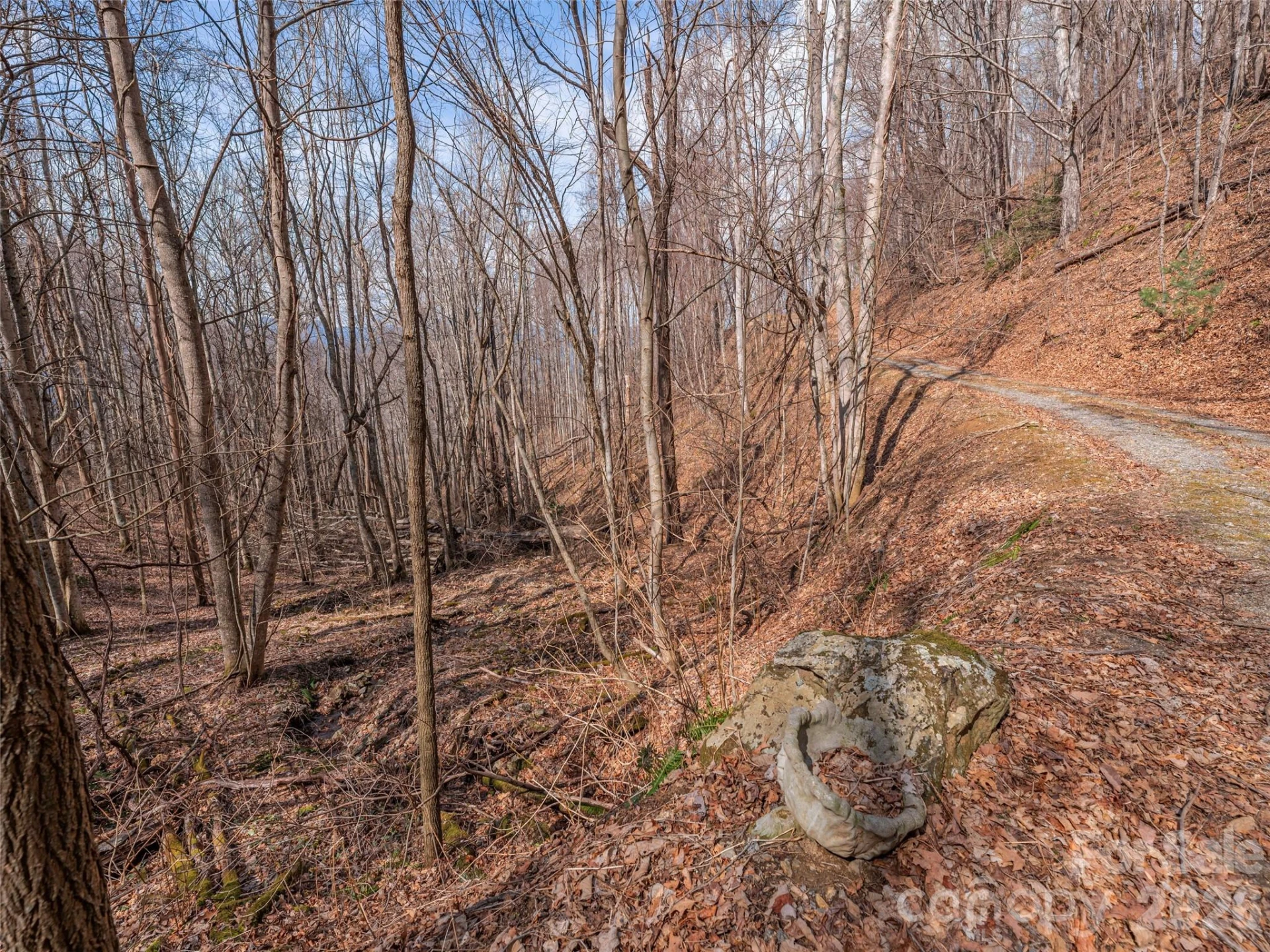 399 Goodson Spring Road - Photo 7