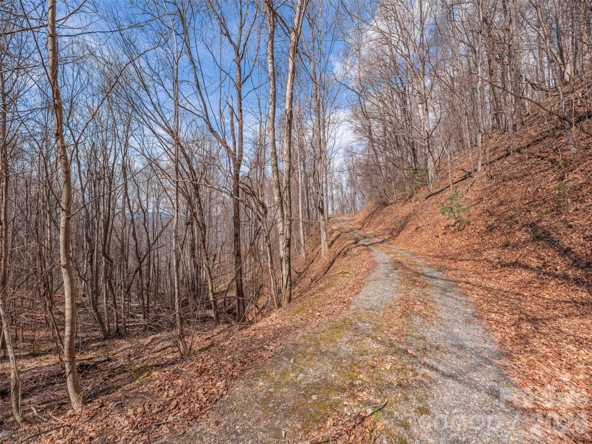 399 Goodson Spring Road - Photo 8