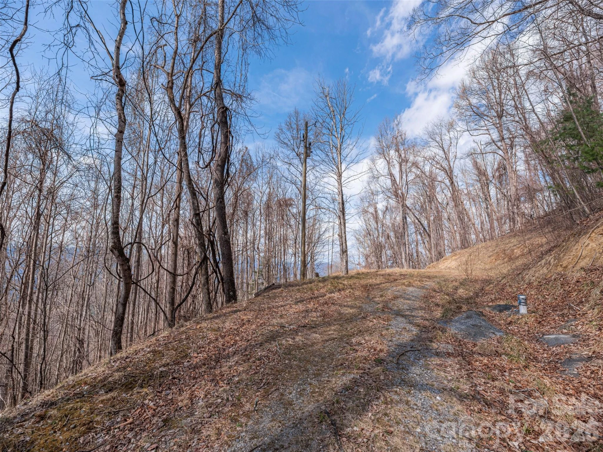 399 Goodson Spring Road - Photo 11