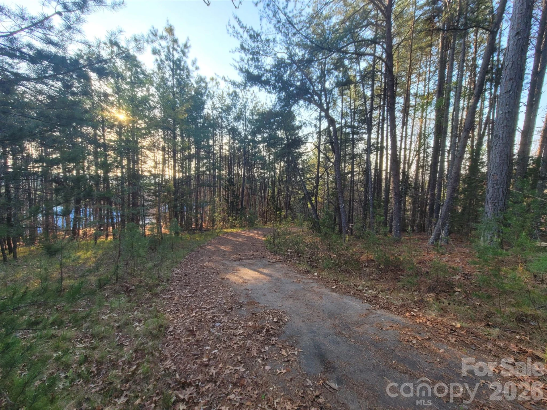 0 Cozy Lane #59 - Photo 2
