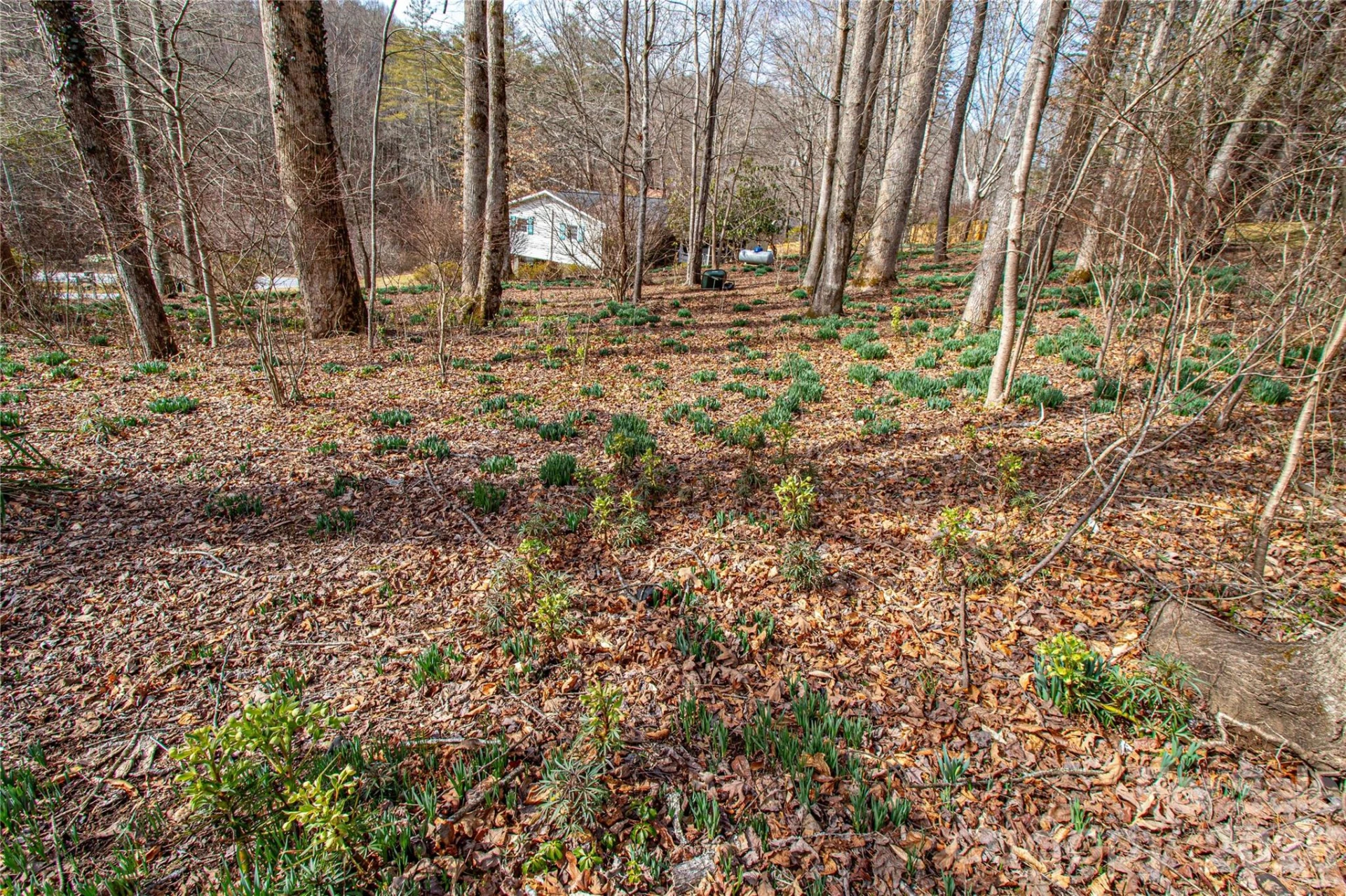 356 Pleasant Hill Drive - Photo 34