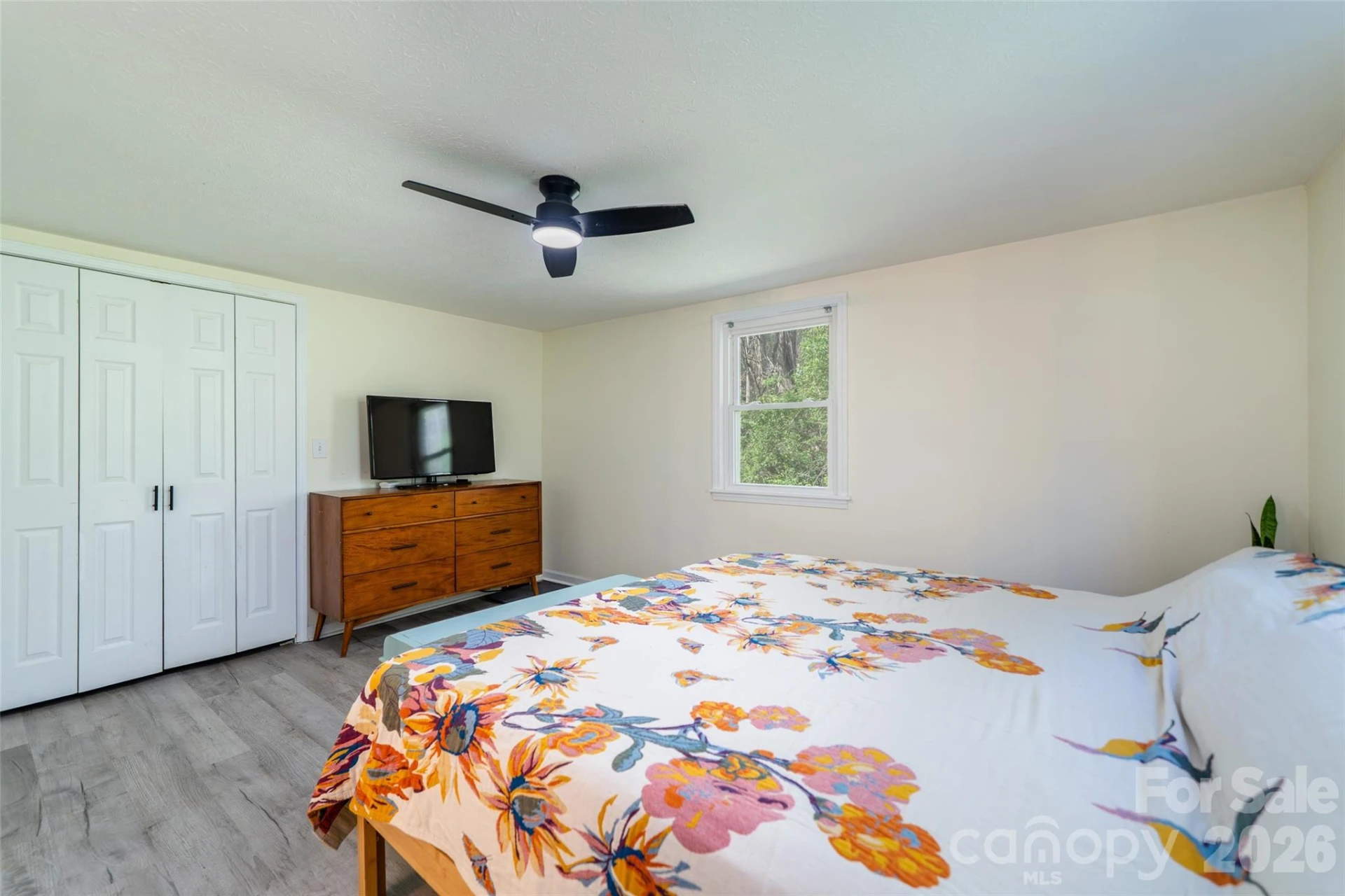 913 Dorothy Street - Photo 15