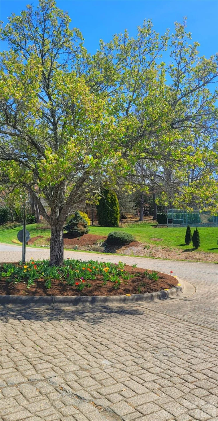 100 Thistle Knoll Court - Photo 46