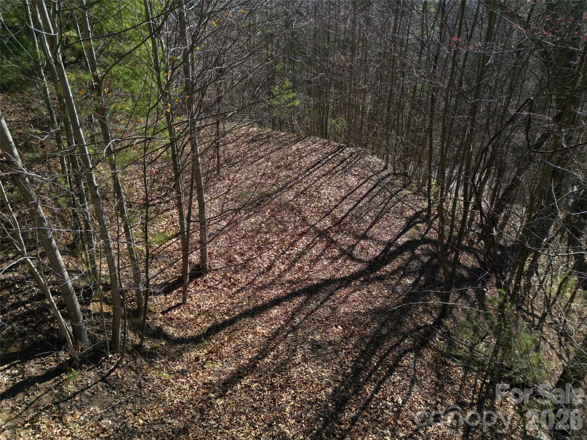 1165 Scenic Circle - Photo 17