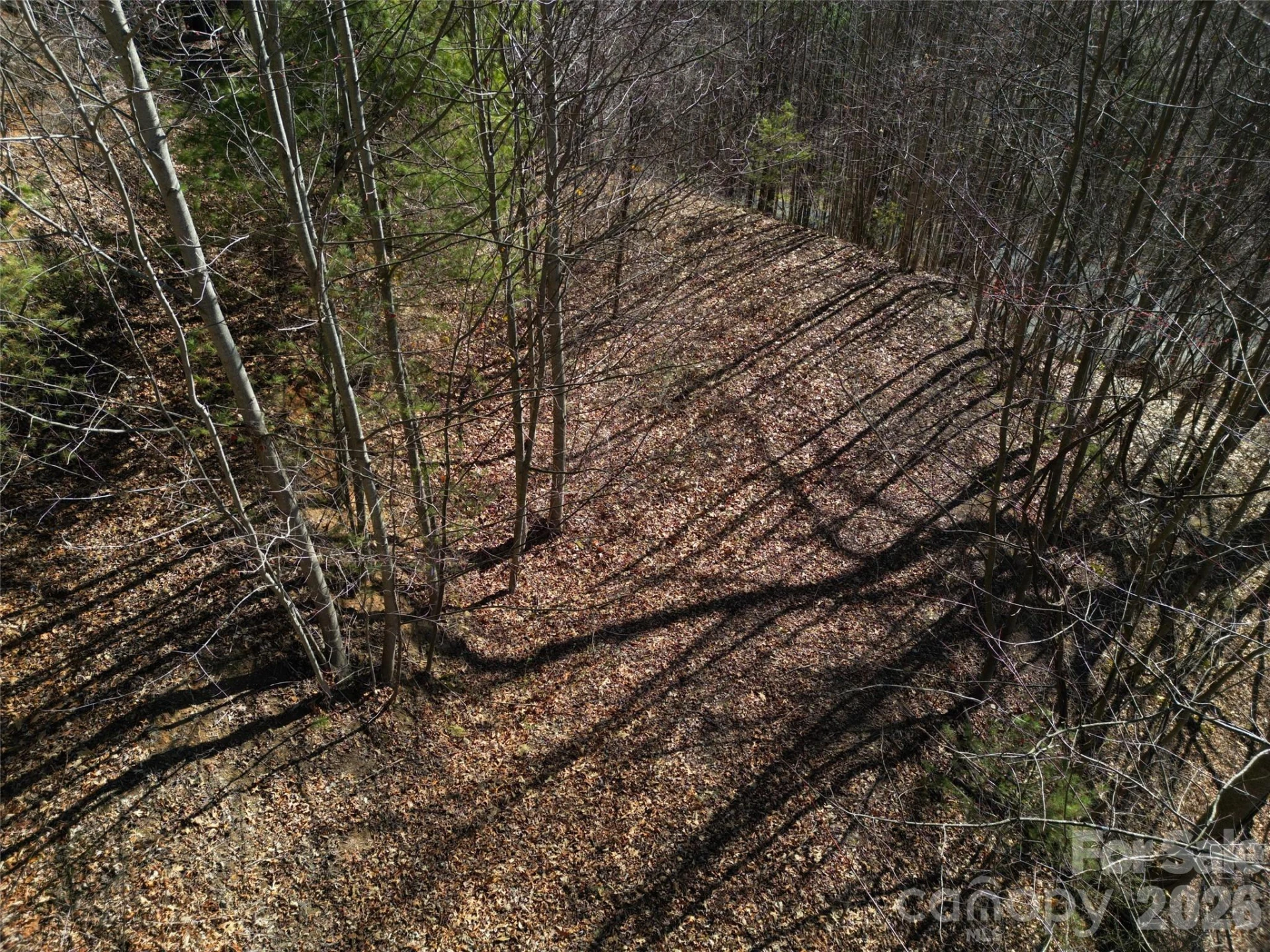 1165 Scenic Circle - Photo 18