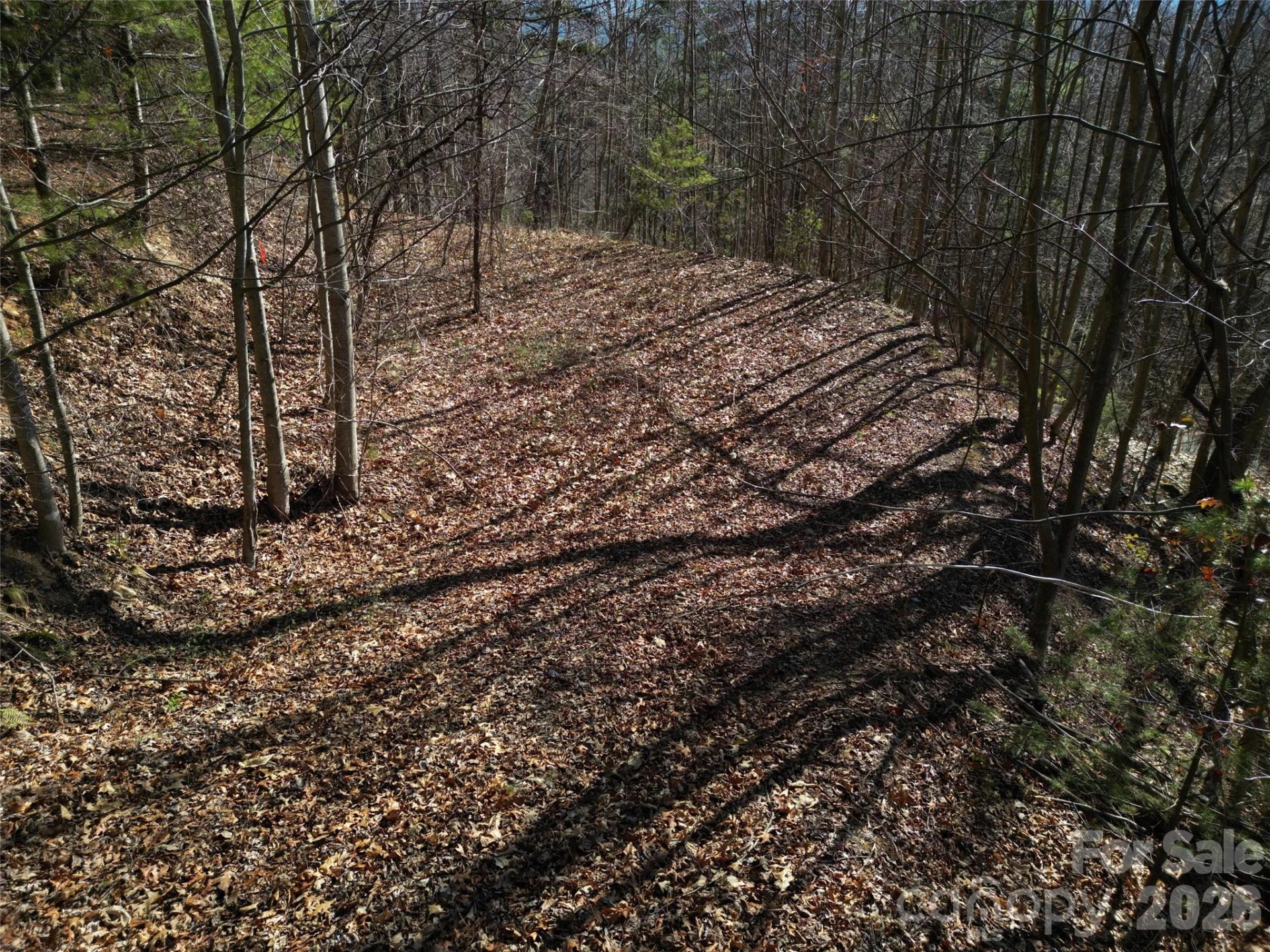 1165 Scenic Circle - Photo 19