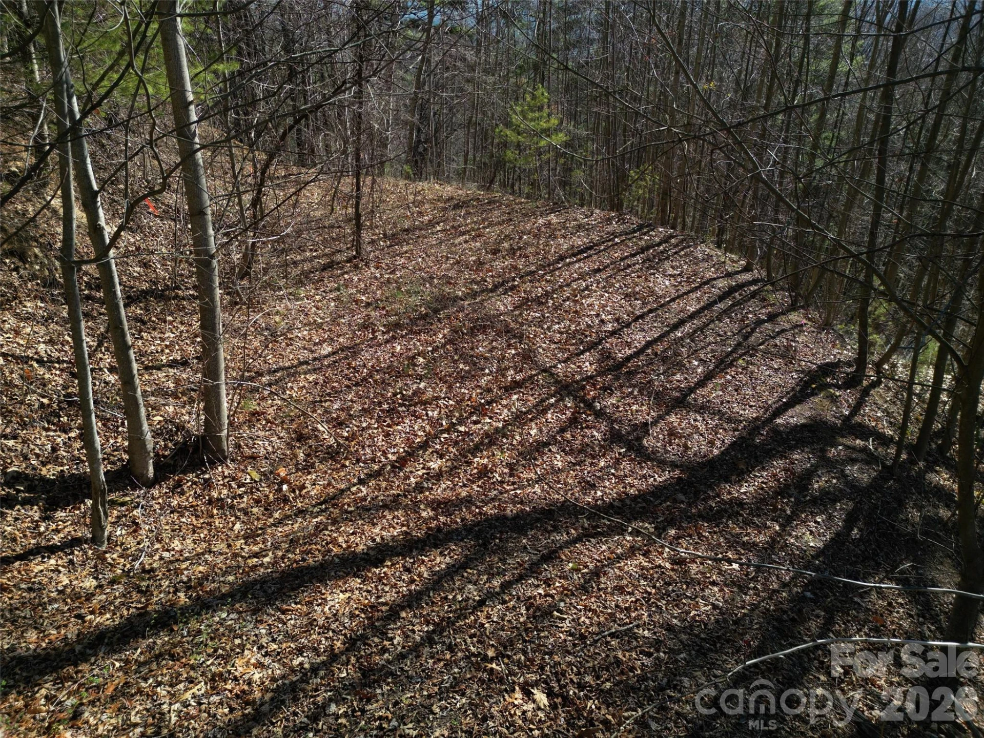 1165 Scenic Circle - Photo 20