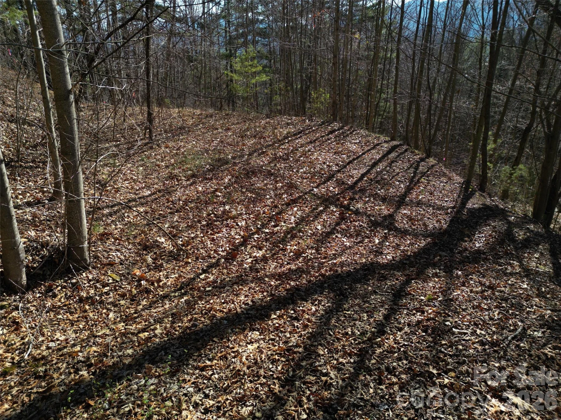 1165 Scenic Circle - Photo 21