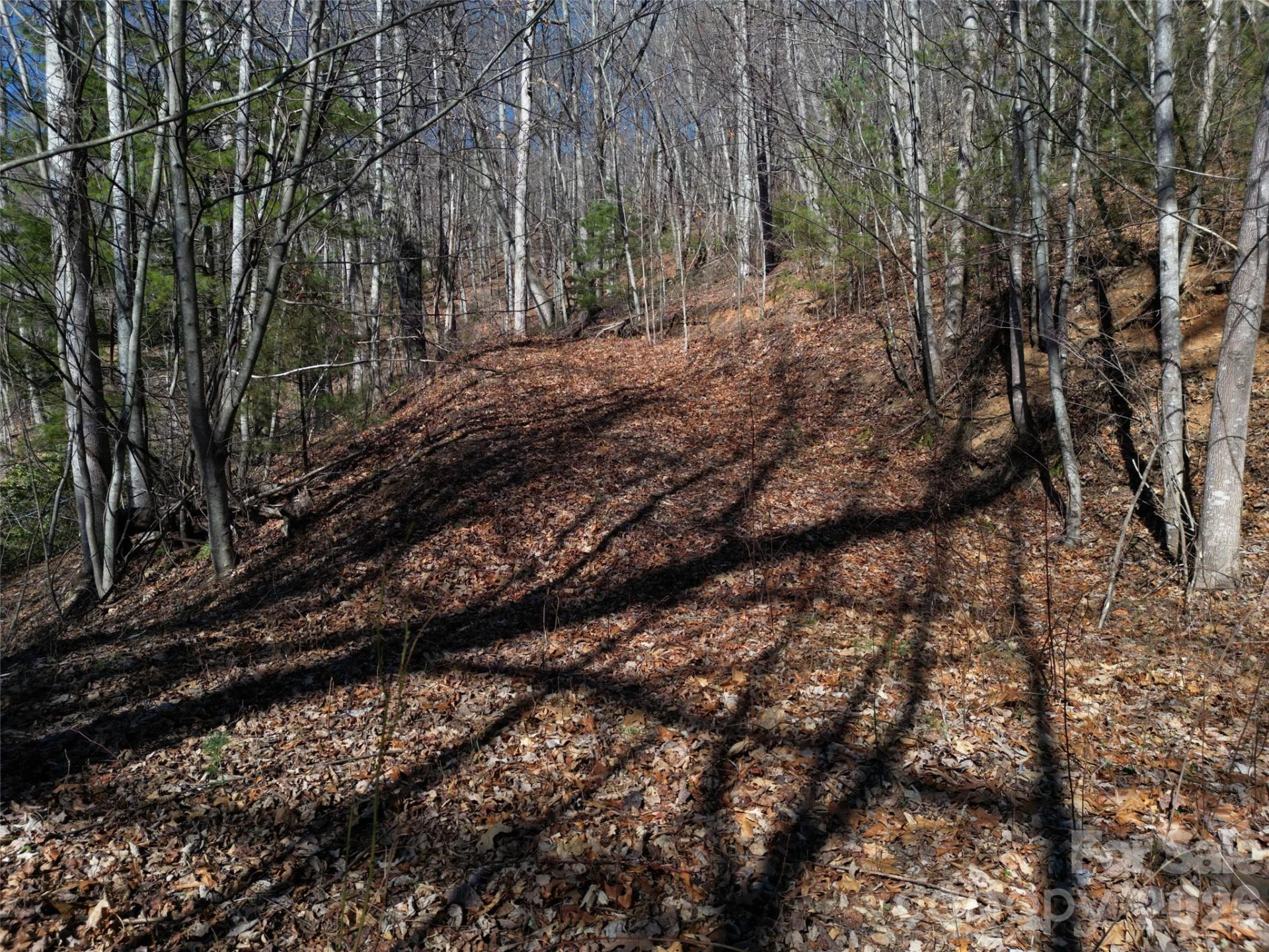 1165 Scenic Circle - Photo 23