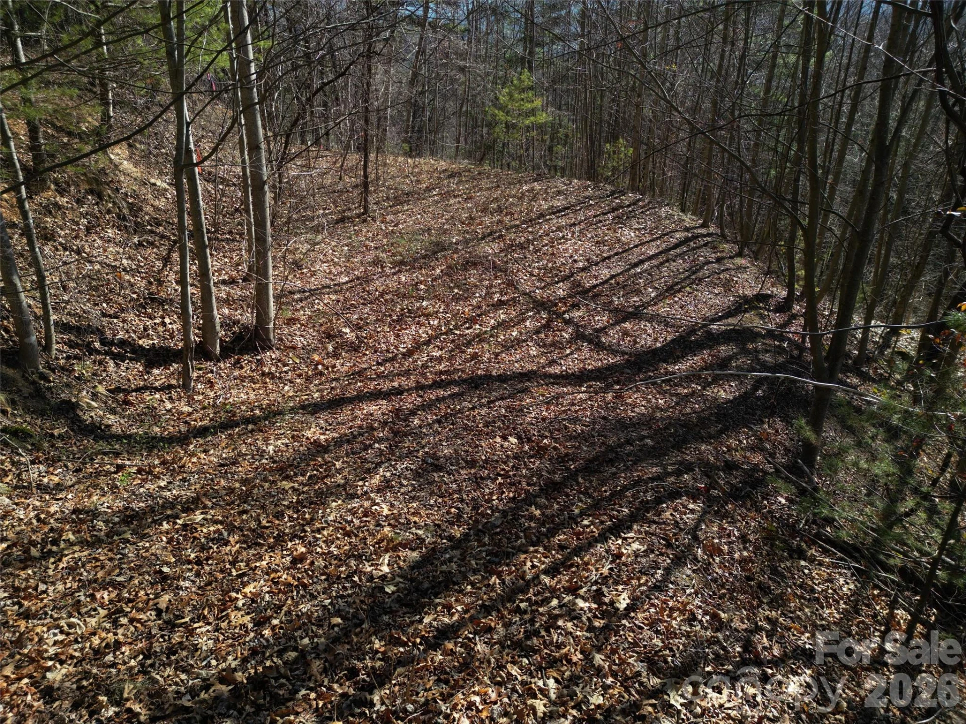 1165 Scenic Circle - Photo 6