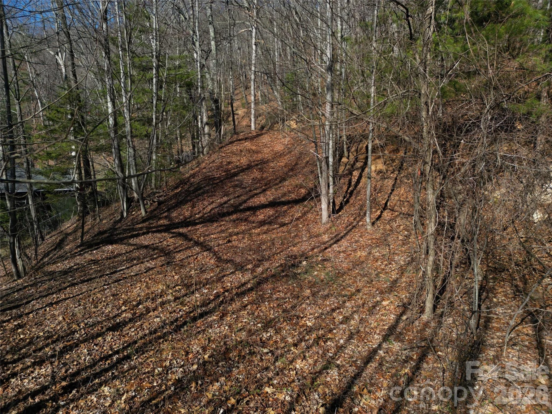 1165 Scenic Circle - Photo 7