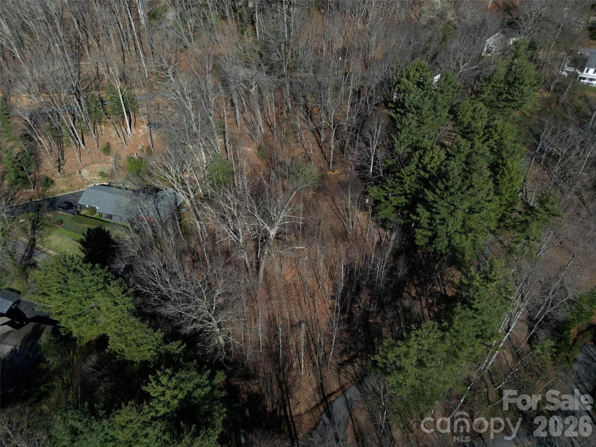 1165 Scenic Circle - Photo 9