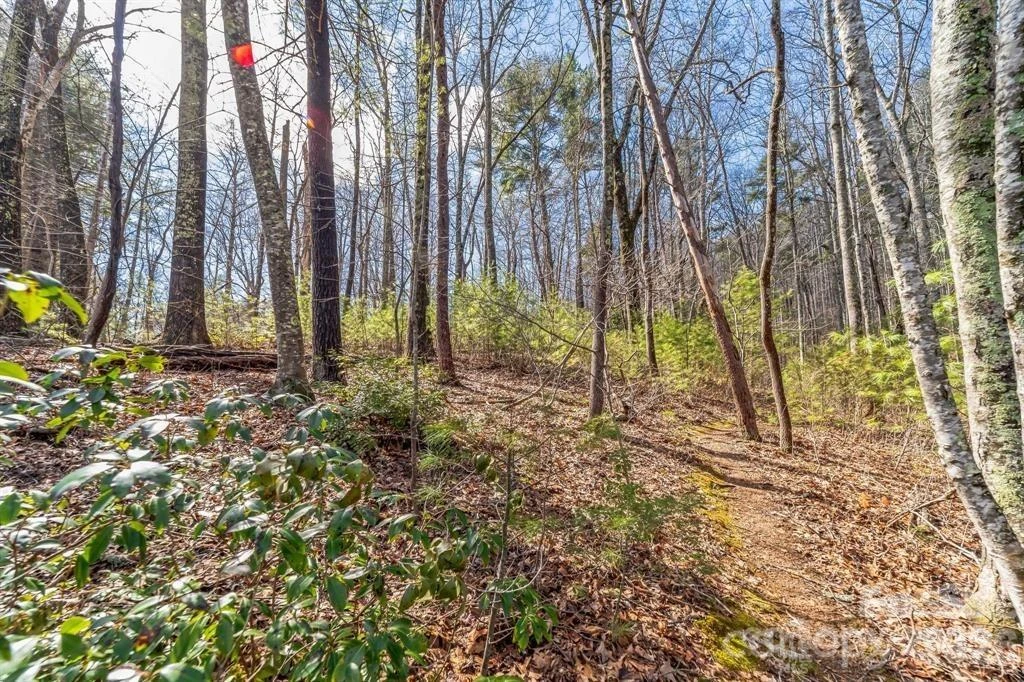 99999 Parker Road - Photo 6