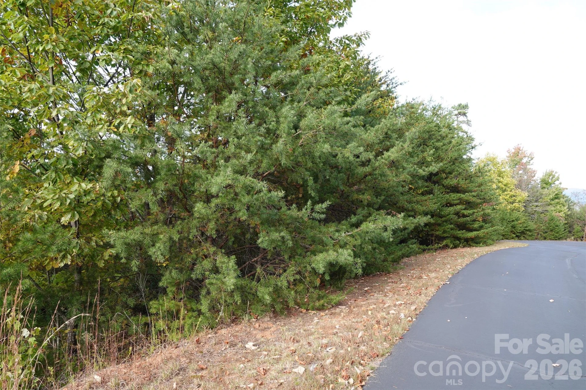 109 Ampersand Trail - Photo 4