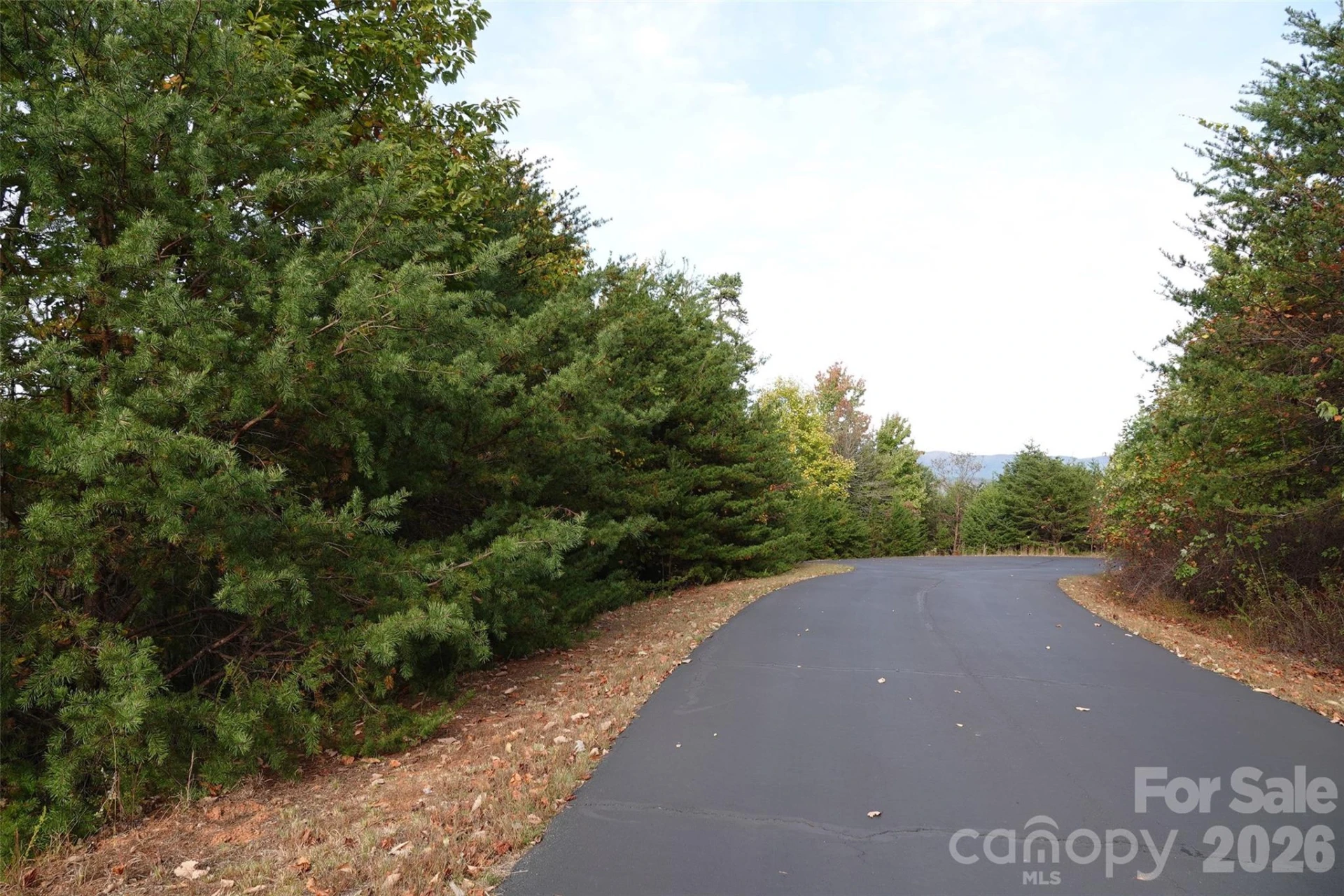 109 Ampersand Trail - Photo 5