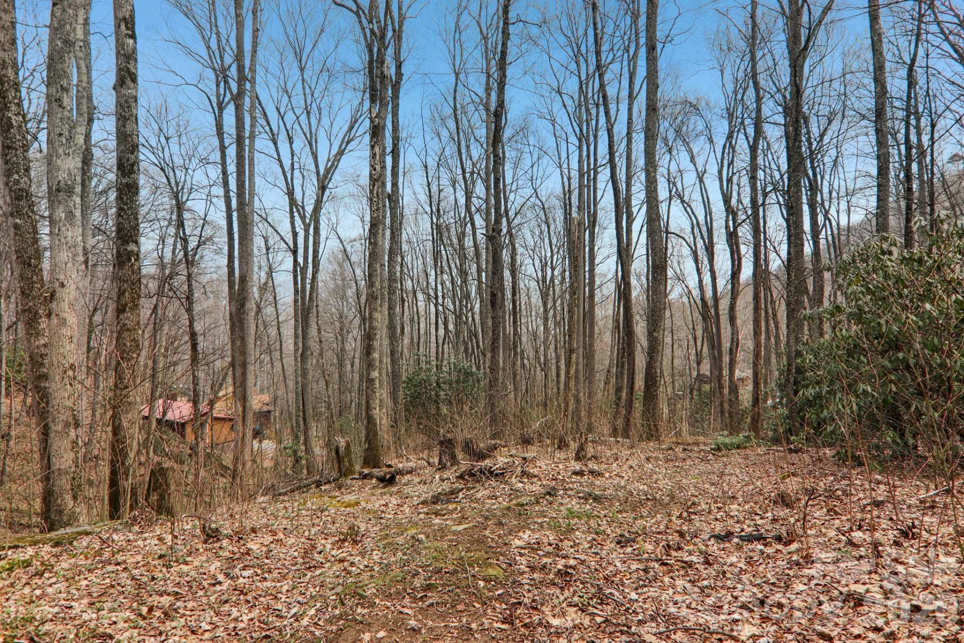 33 Fernbrook Road - Photo 7
