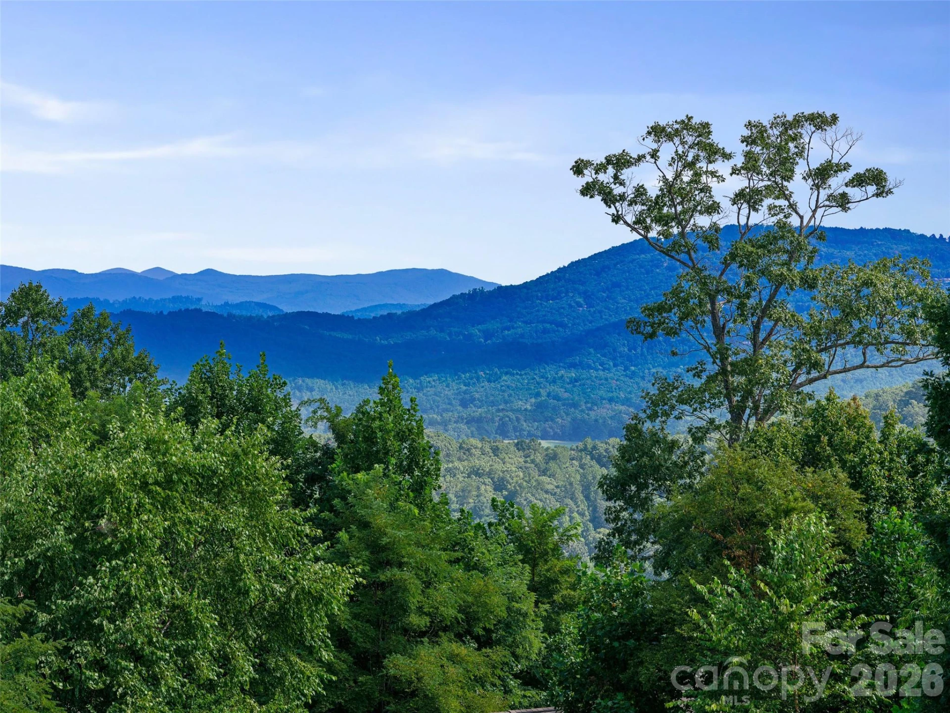 247 Coachman Drive - Photo 48