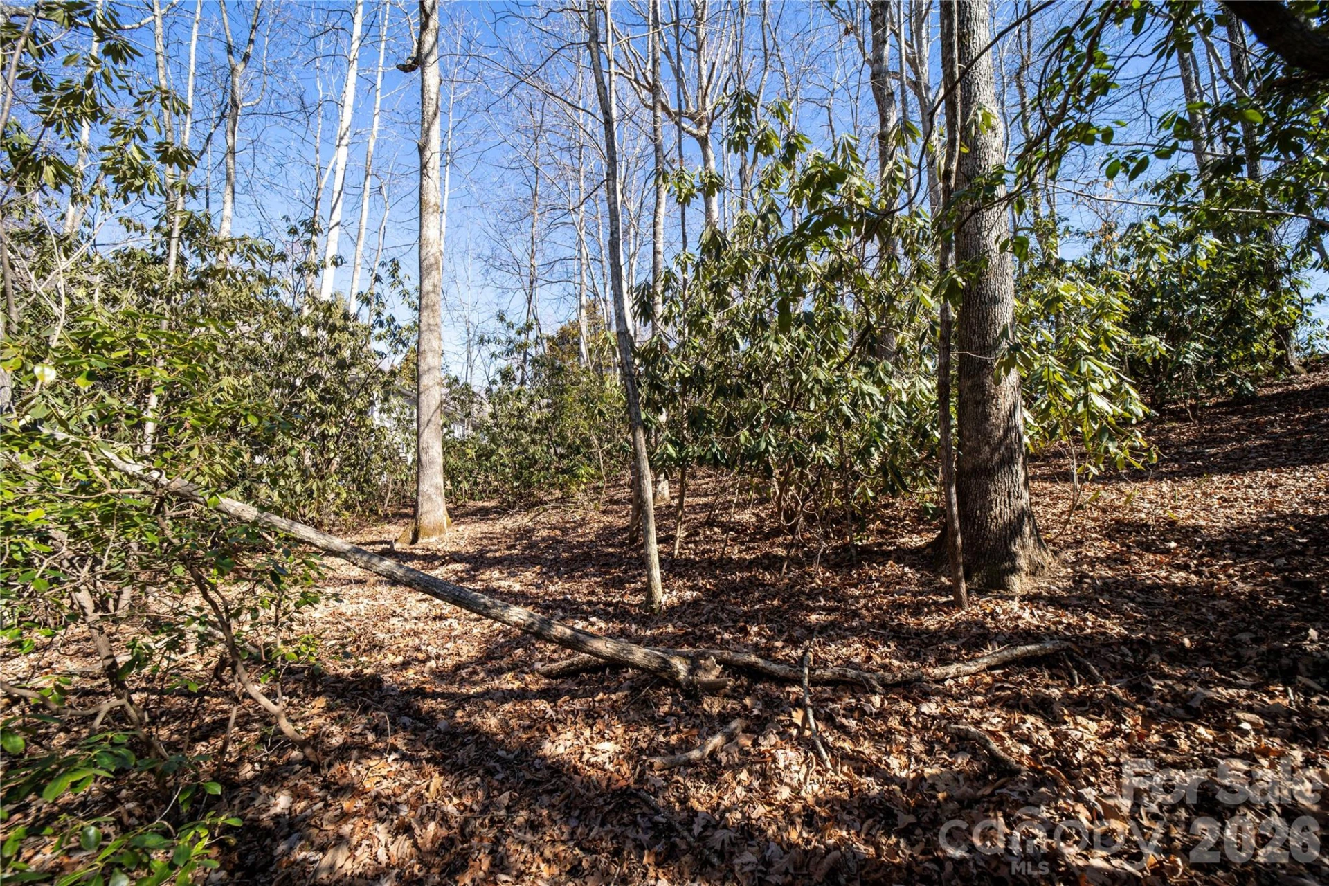 2310 Golf Club Court - Photo 14