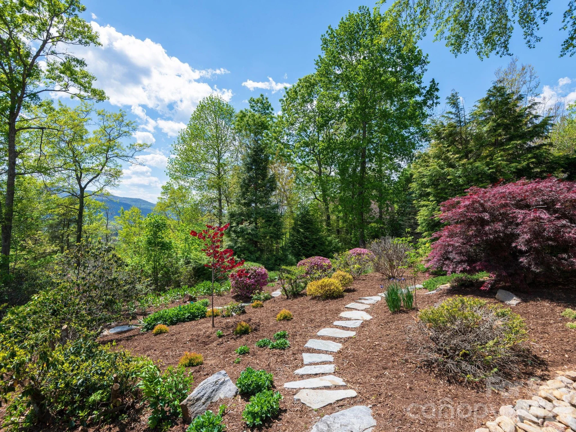 43 Galax Lane - Photo 29