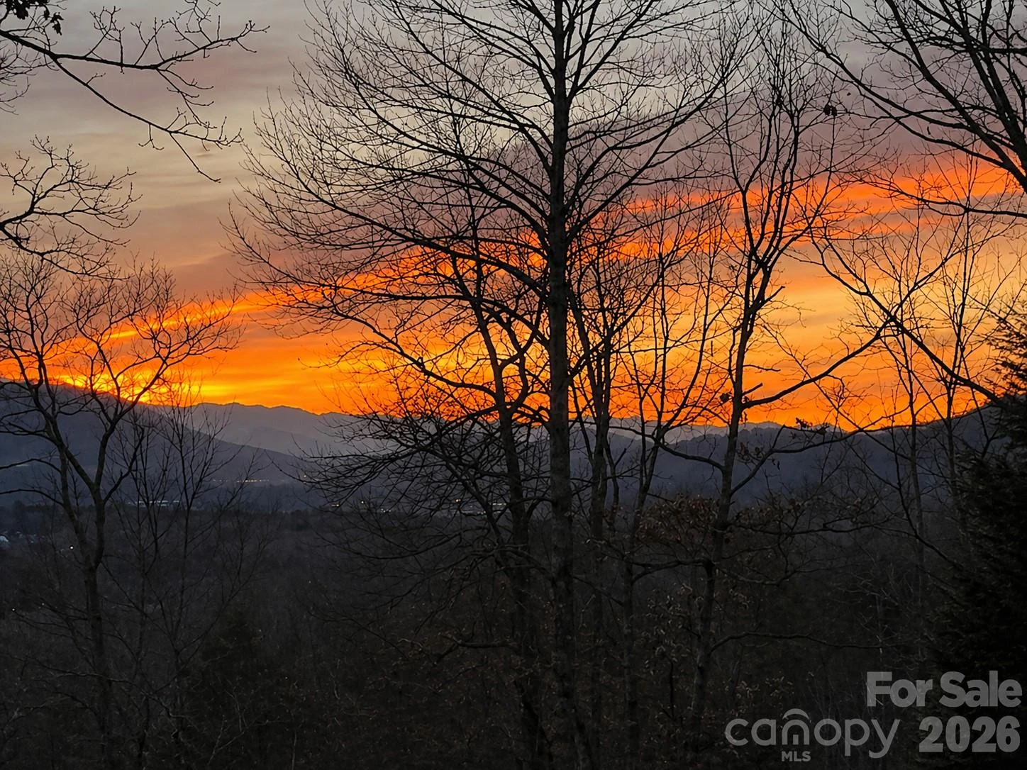 43 Galax Lane - Photo 35