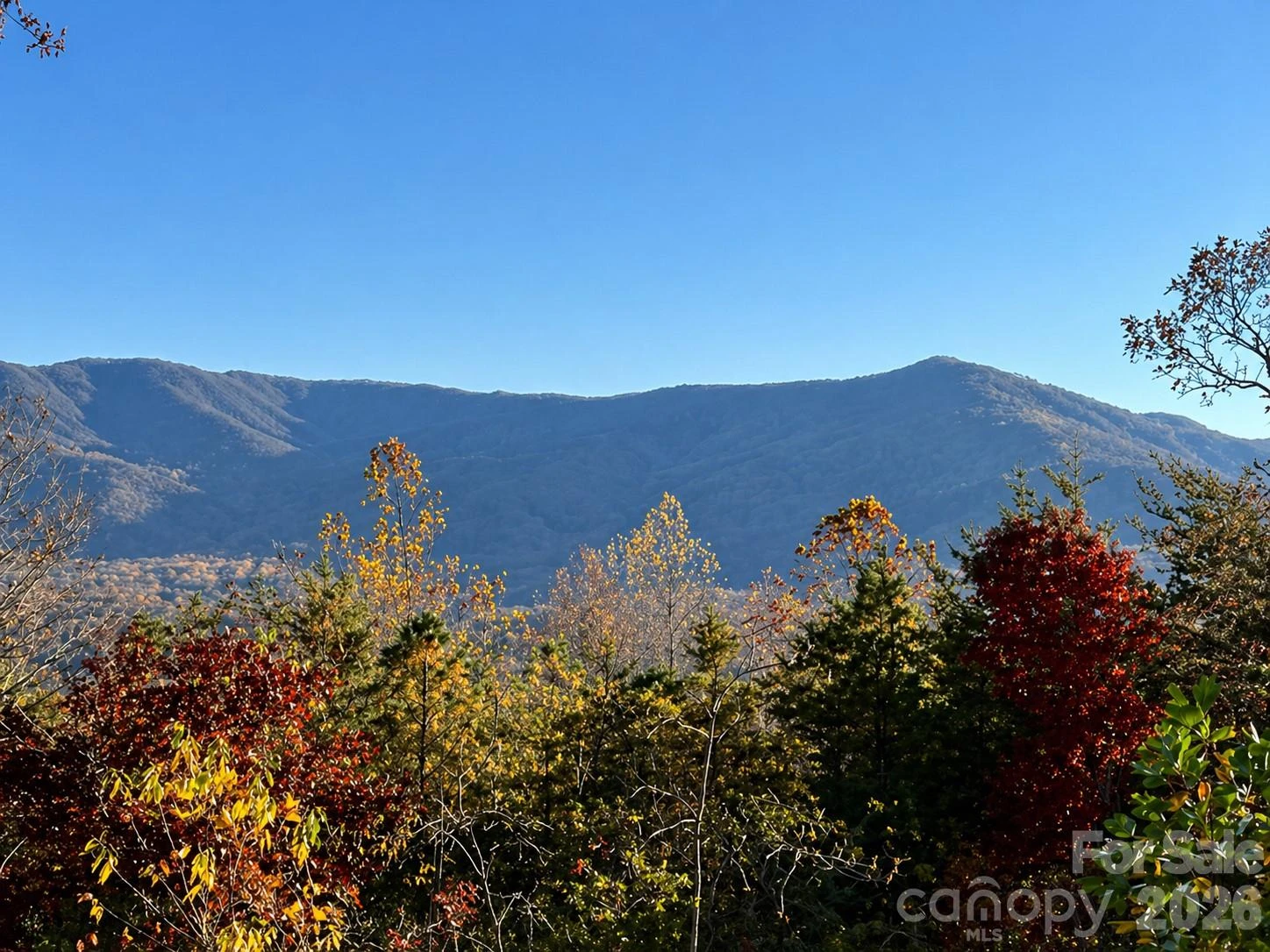 43 Galax Lane - Photo 38