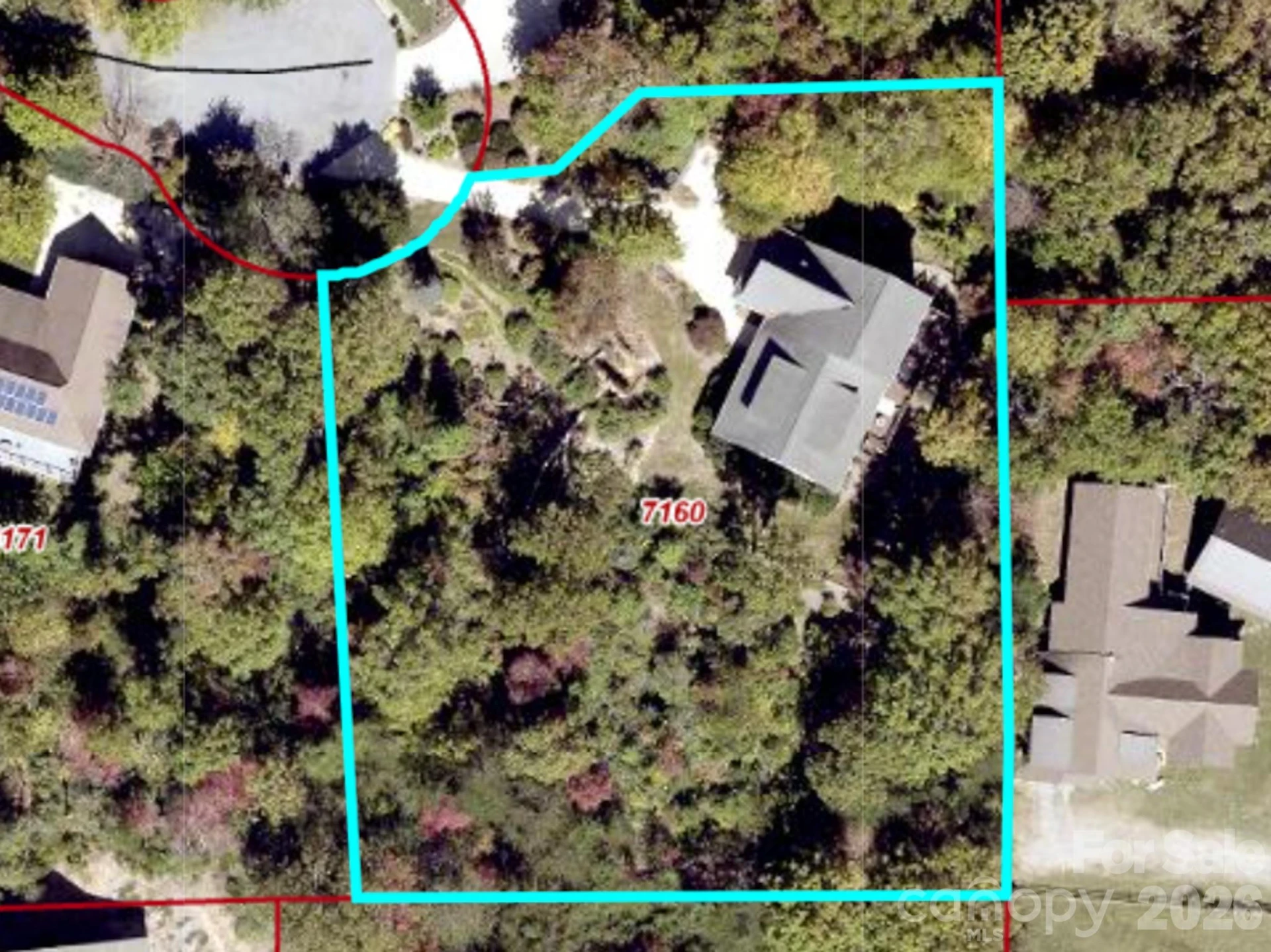 43 Galax Lane - Photo 39