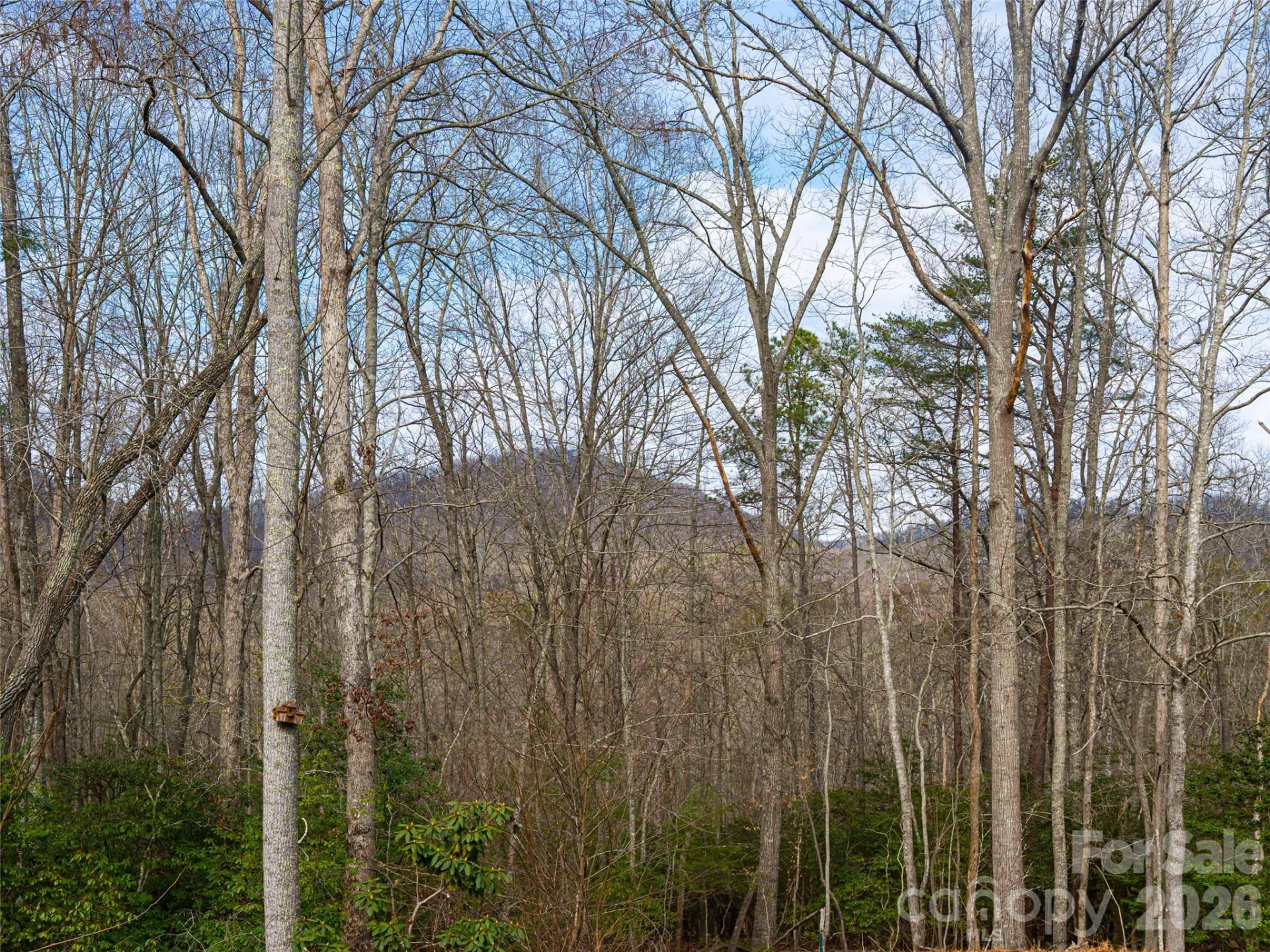 508 Avery Creek Road - Photo 30