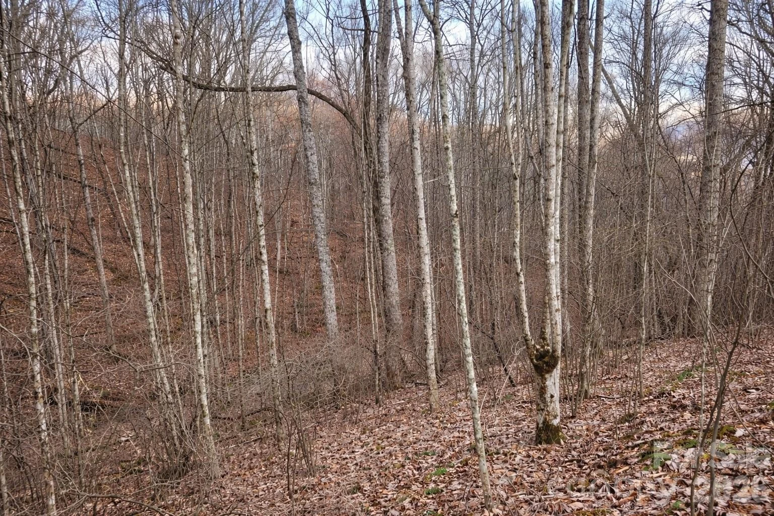 00 Upward Way #1 - Photo 8