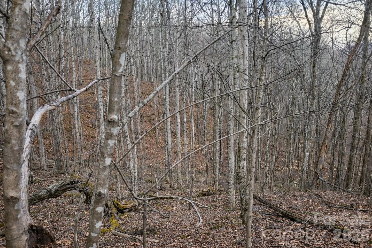 00 Upward Way #1 - Photo 9