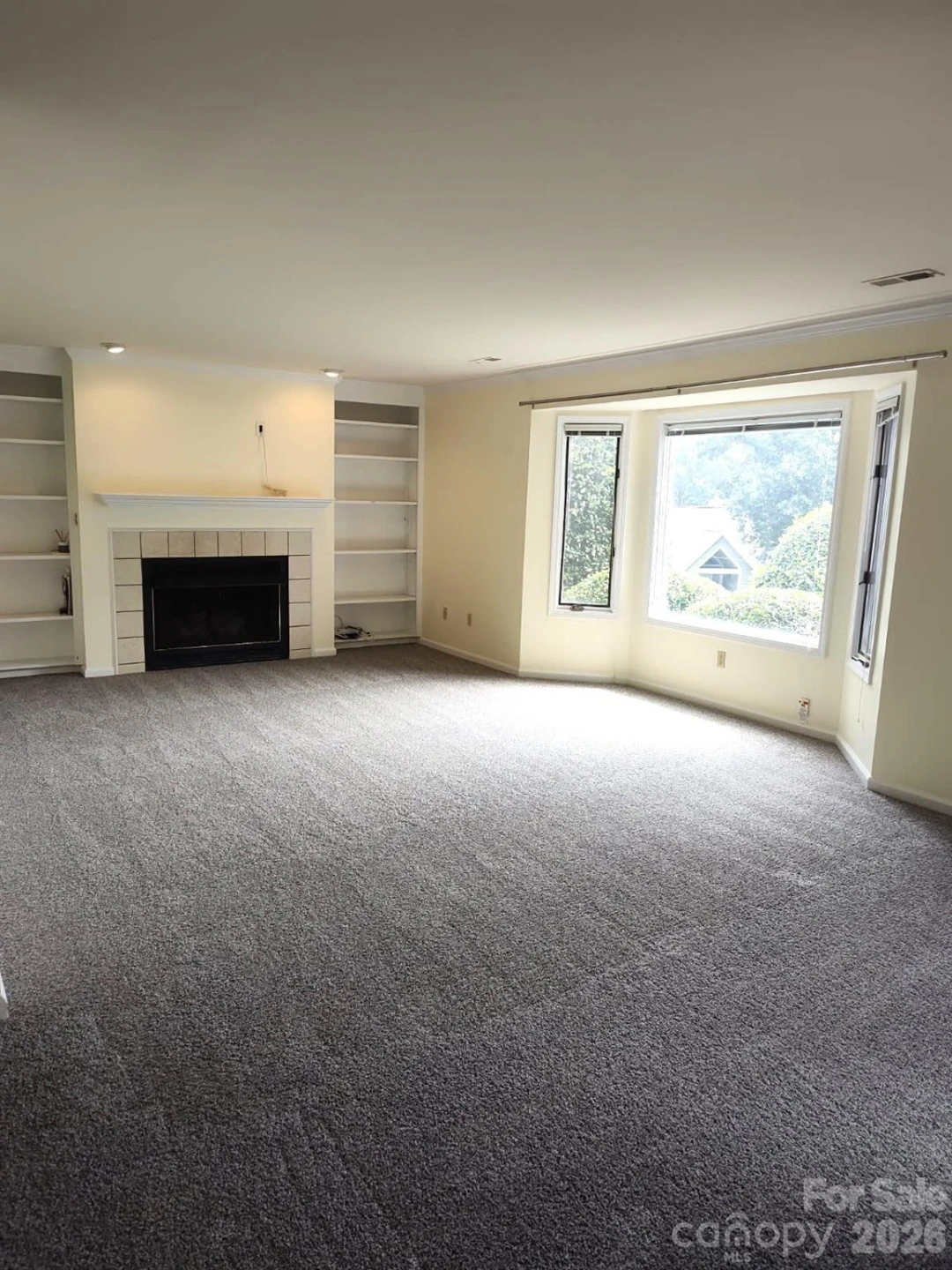 111 BLUFFVIEW Lane - Photo 3