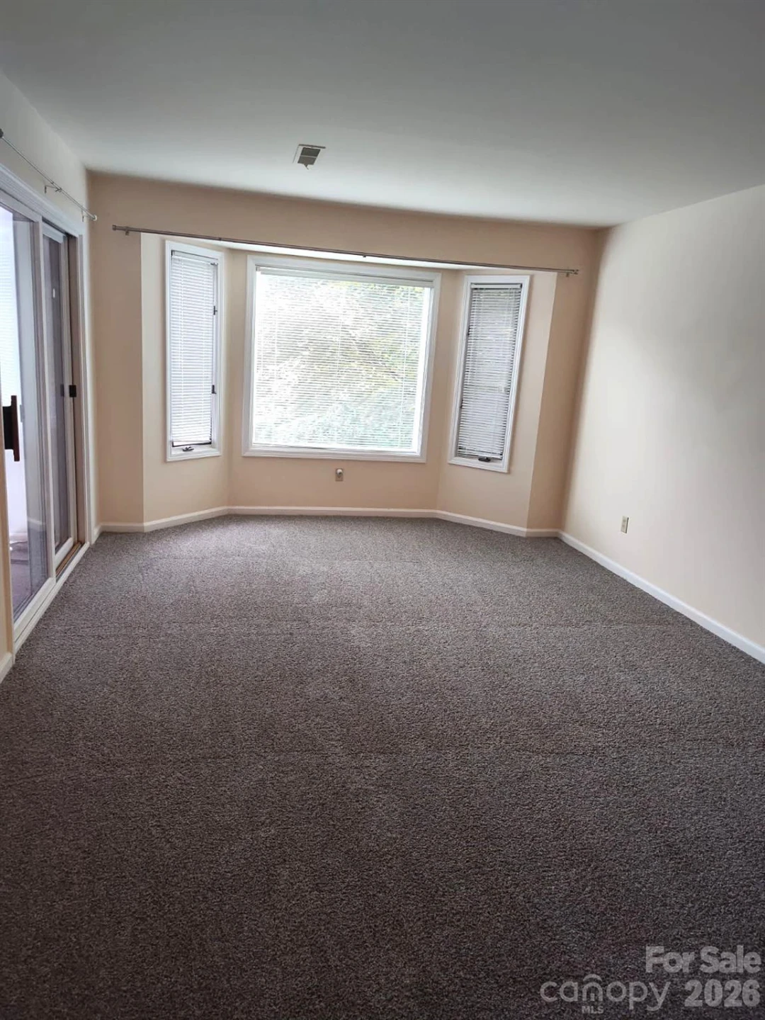 111 BLUFFVIEW Lane - Photo 13
