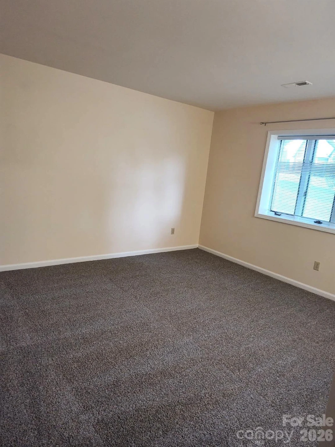111 BLUFFVIEW Lane - Photo 19