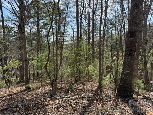 2 Frontier Court - Photo 2