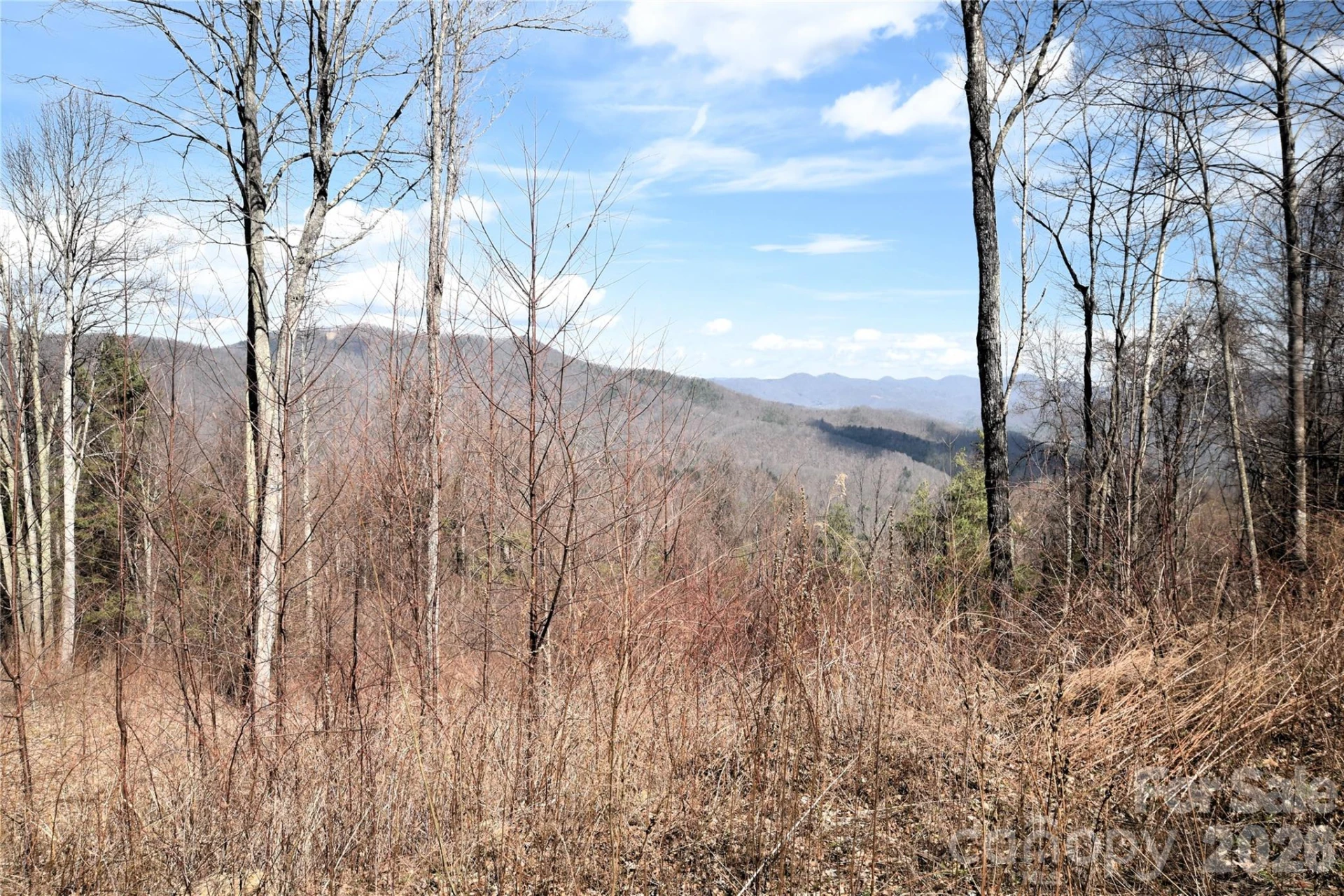 000 Curry Comb Trail #513
