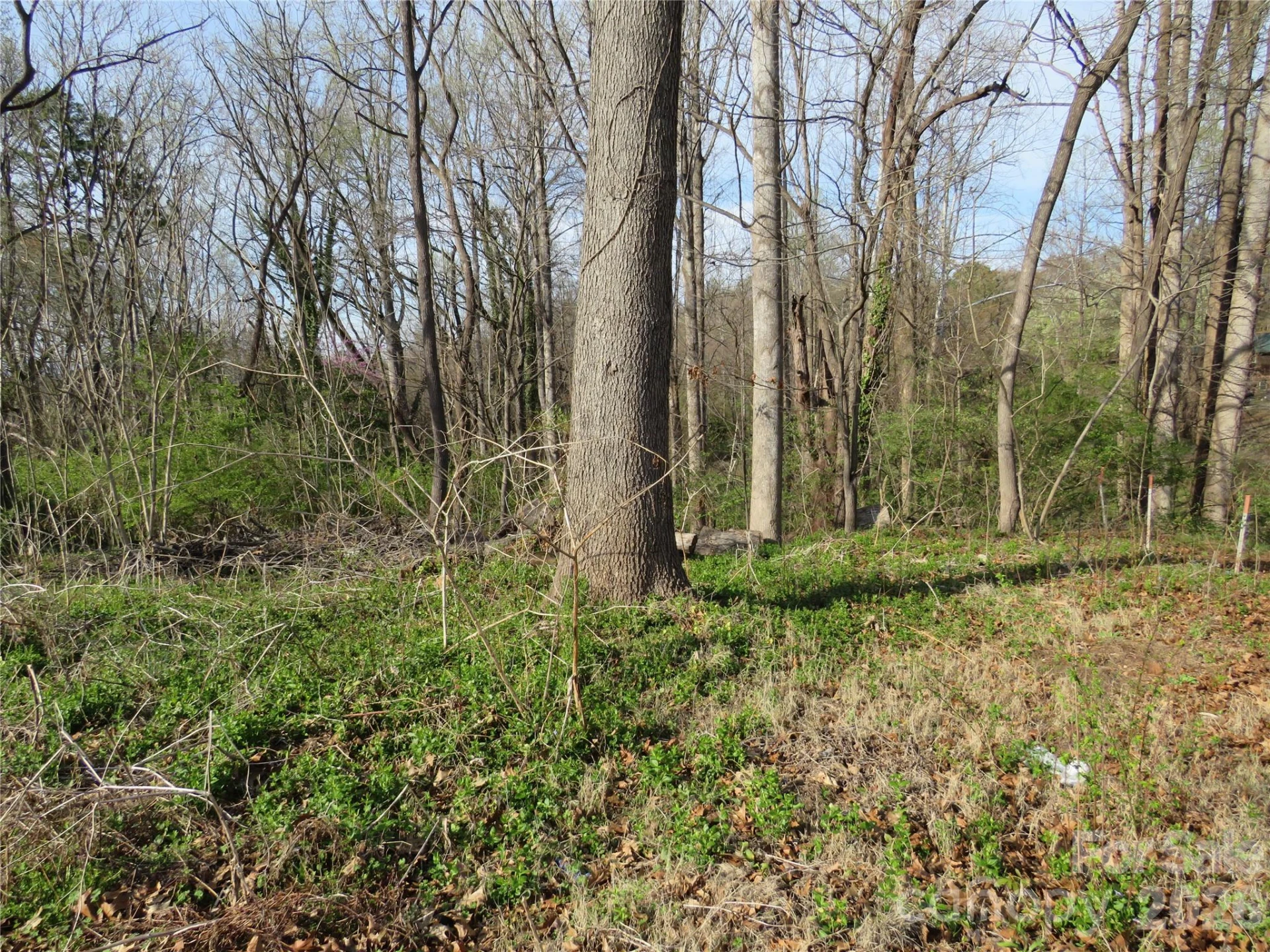0 Virgina Street - Photo 2