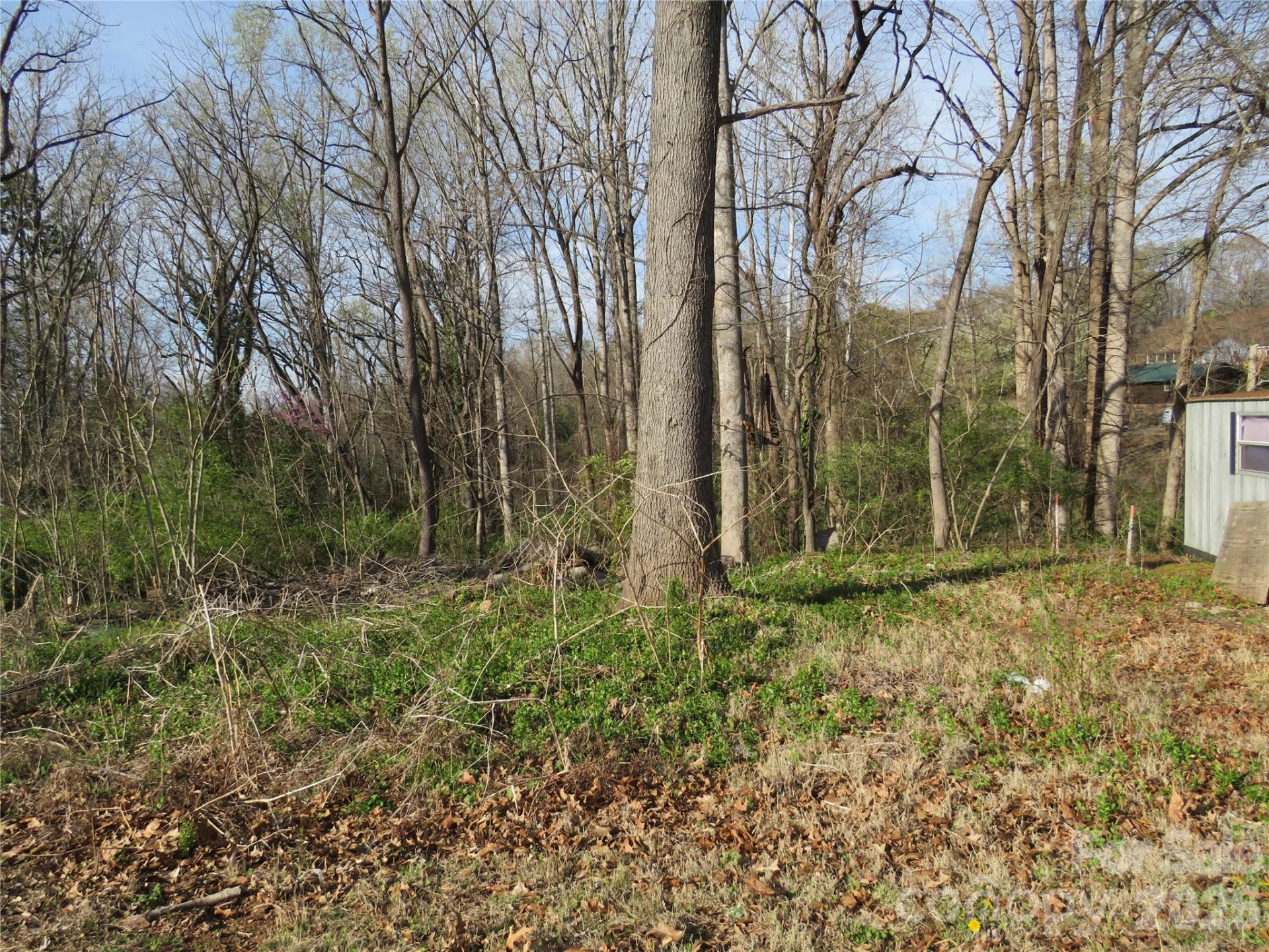 0 Virgina Street - Photo 11