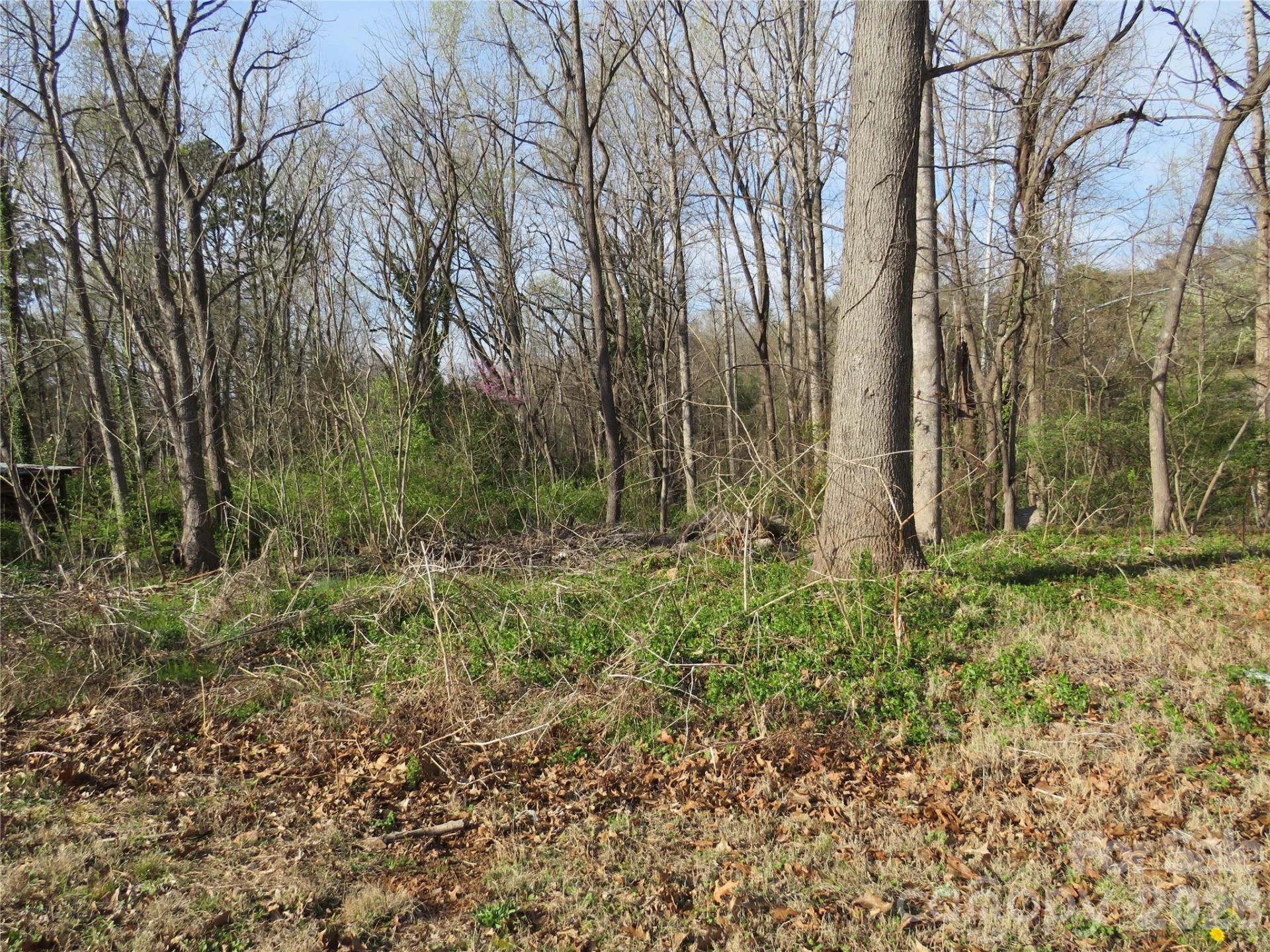 0 Virgina Street - Photo 12