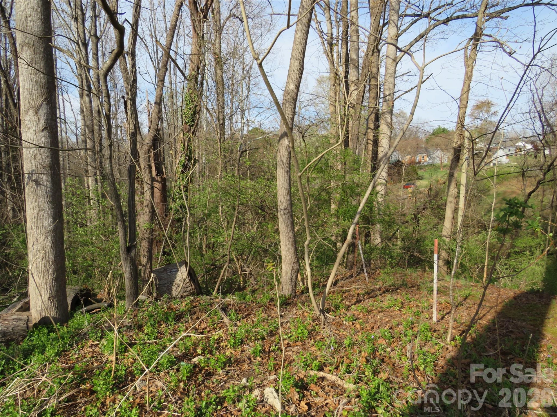 0 Virgina Street - Photo 4