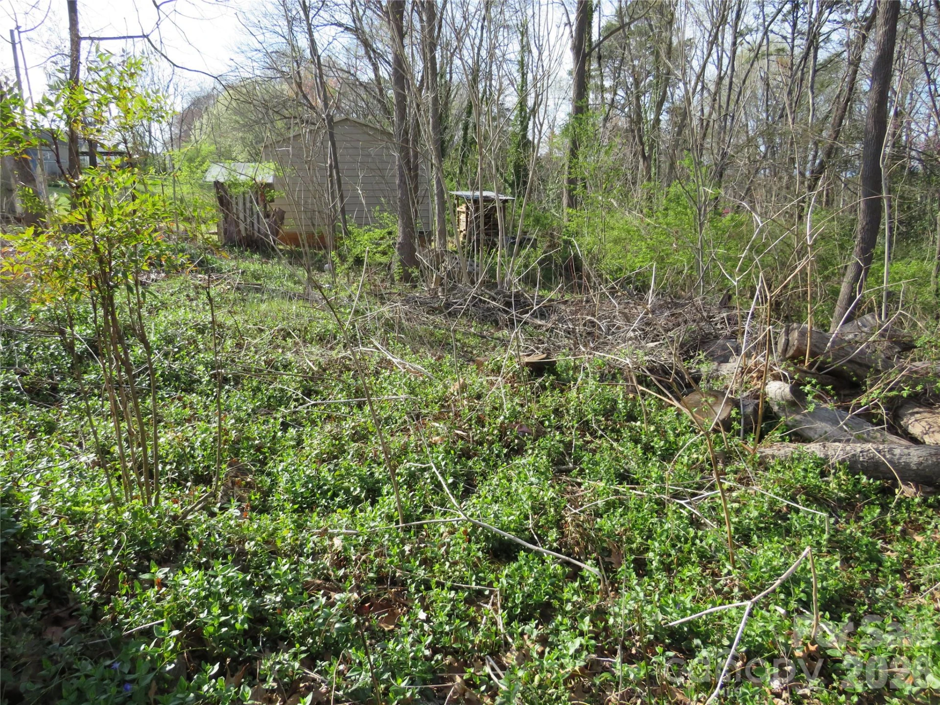 0 Virgina Street - Photo 5