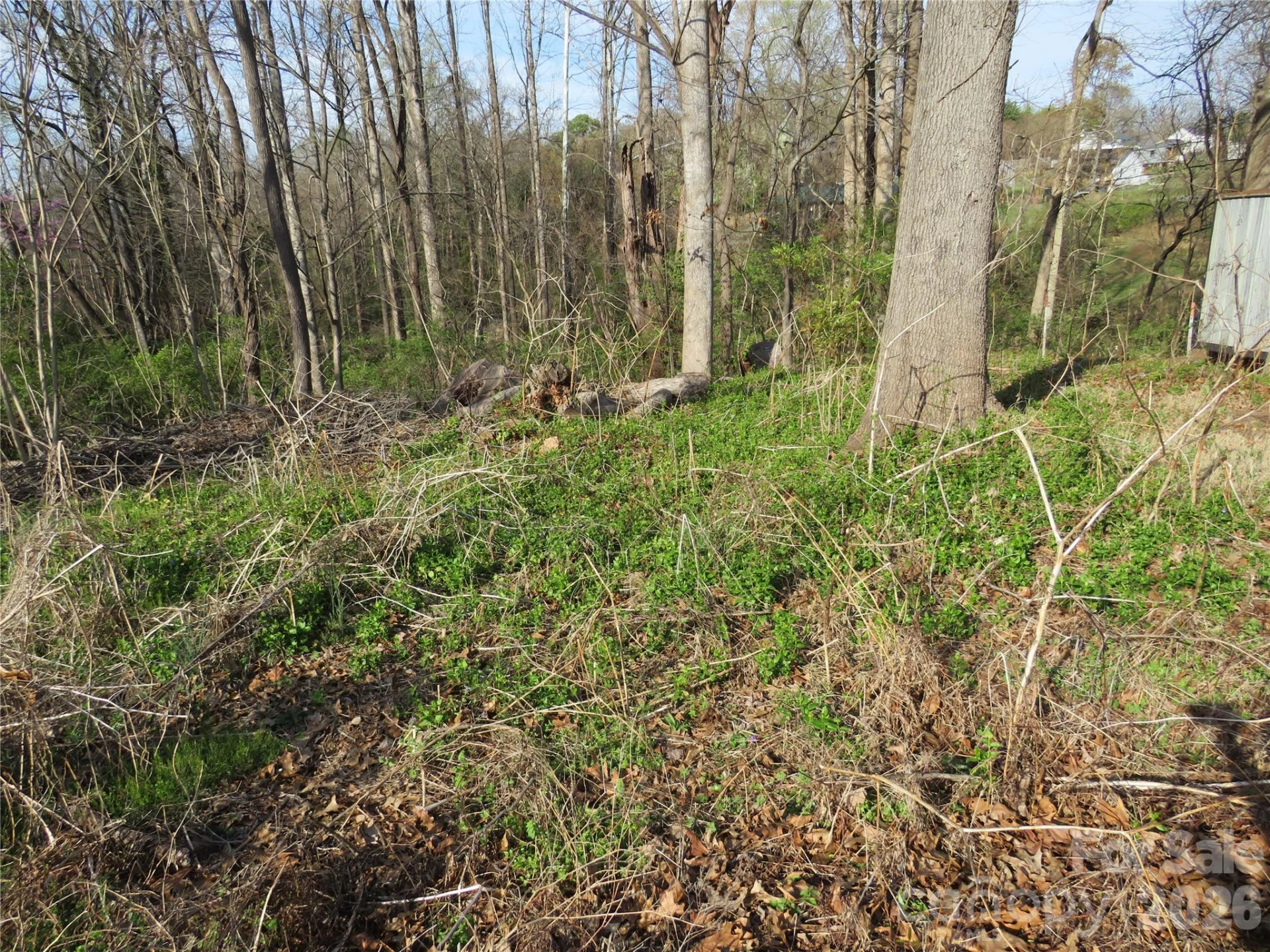 0 Virgina Street - Photo 7