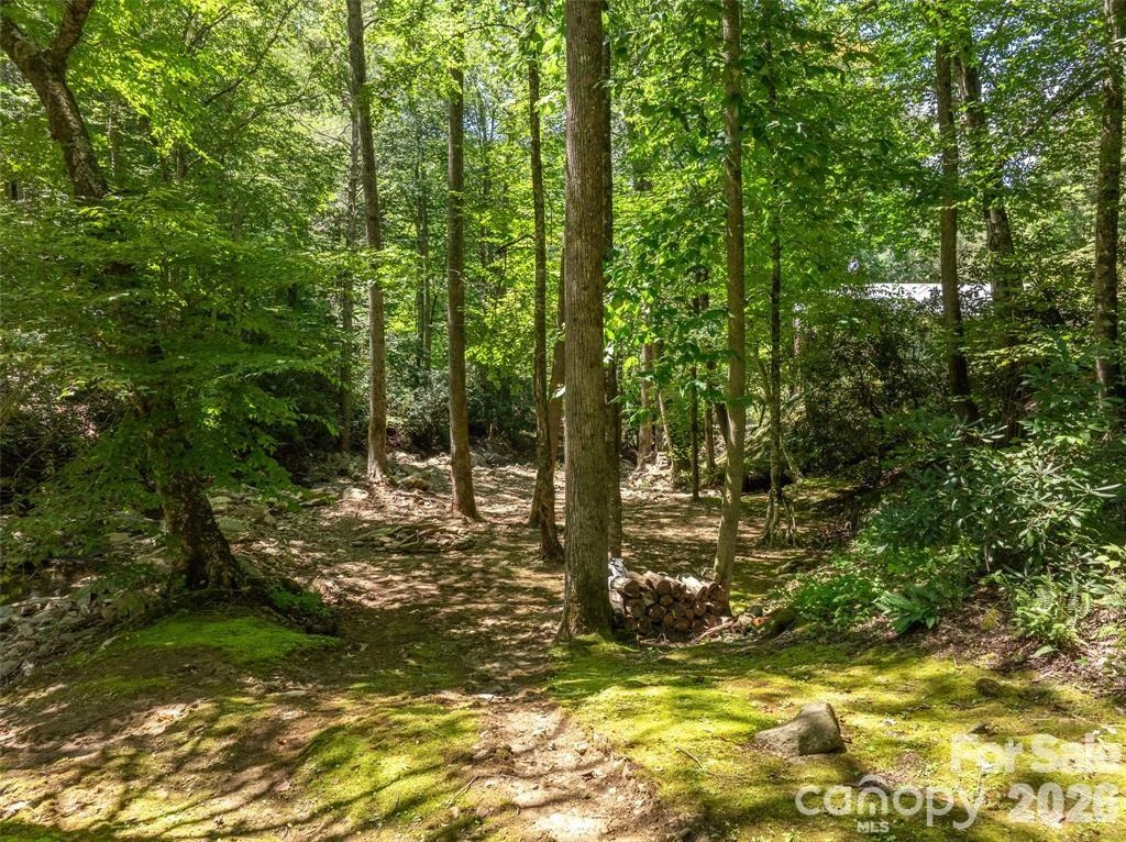 347 Blackberry Inn Road - Photo 29
