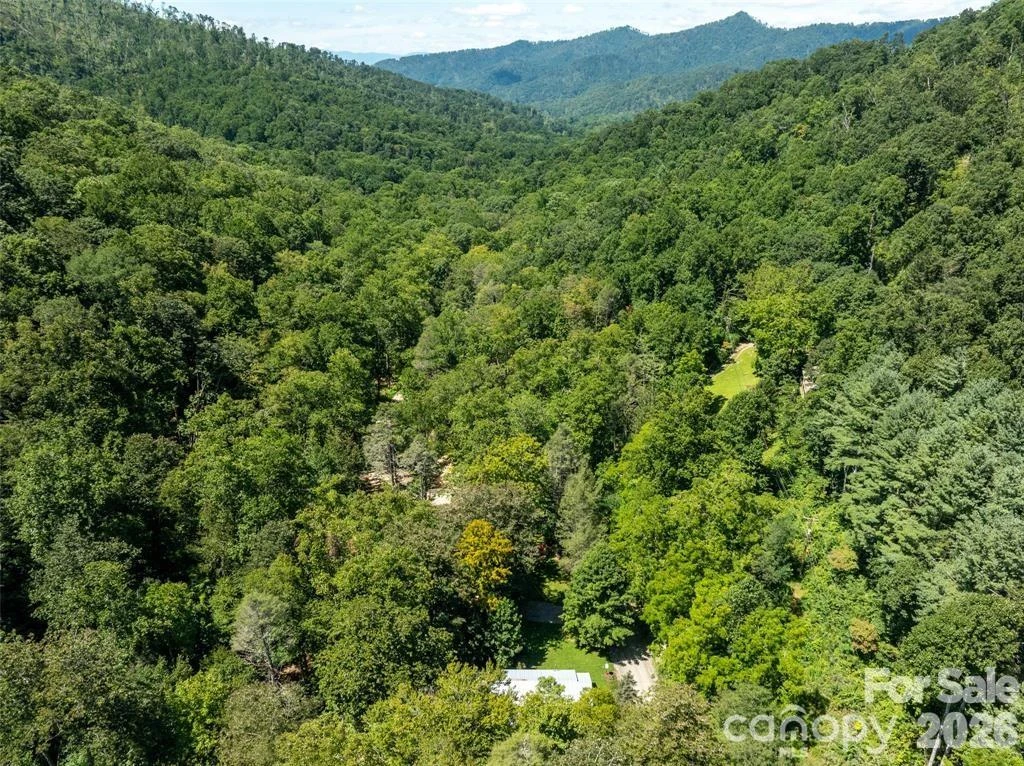 347 Blackberry Inn Road - Photo 33