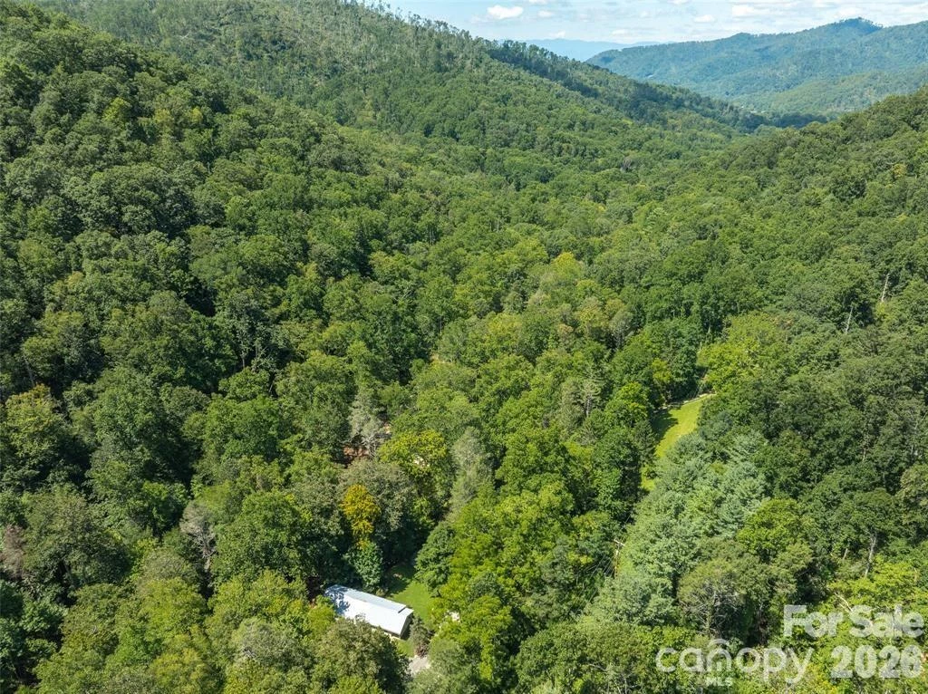 347 Blackberry Inn Road - Photo 39