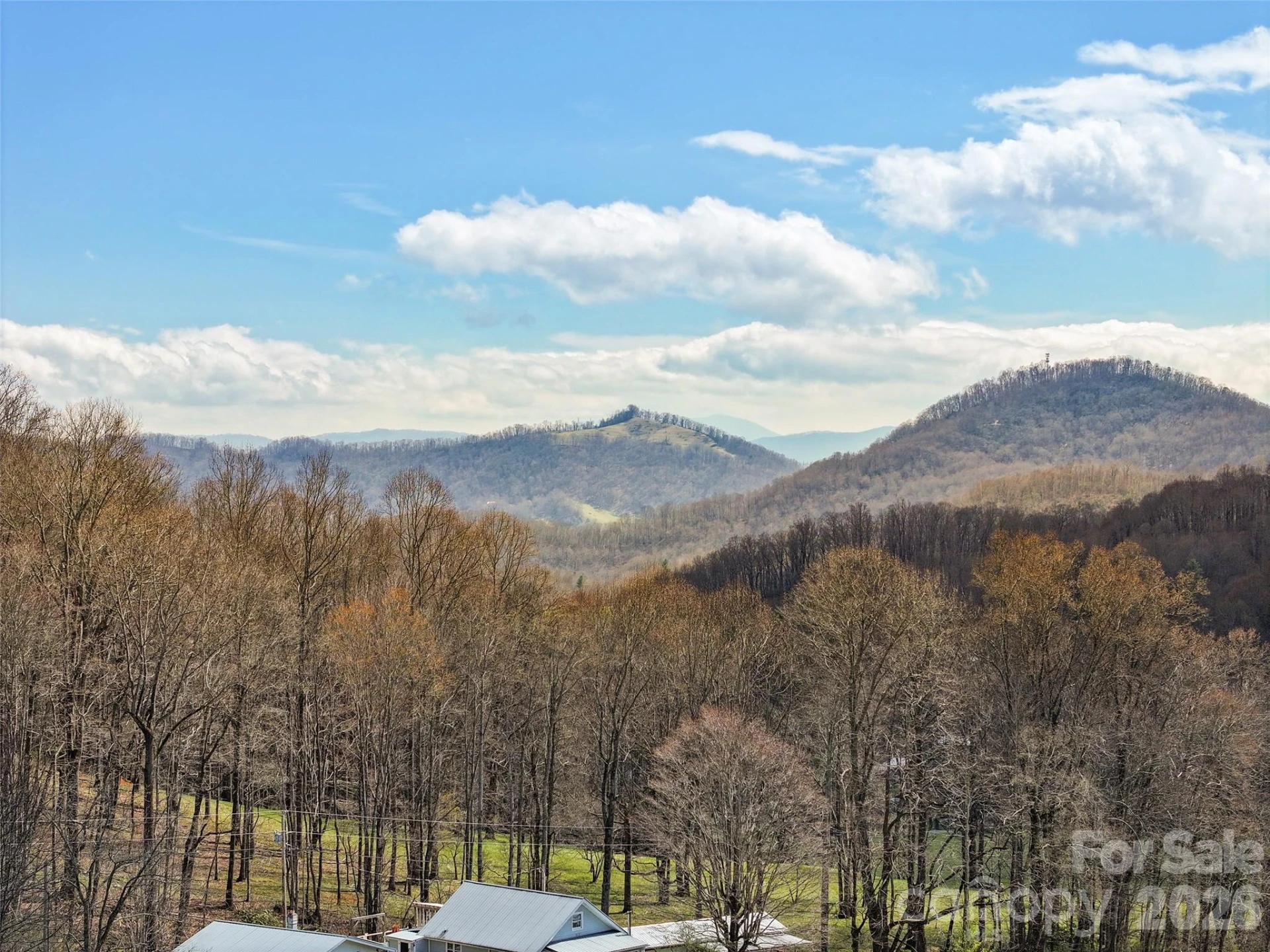 371 Ned Cove Road - Photo 37