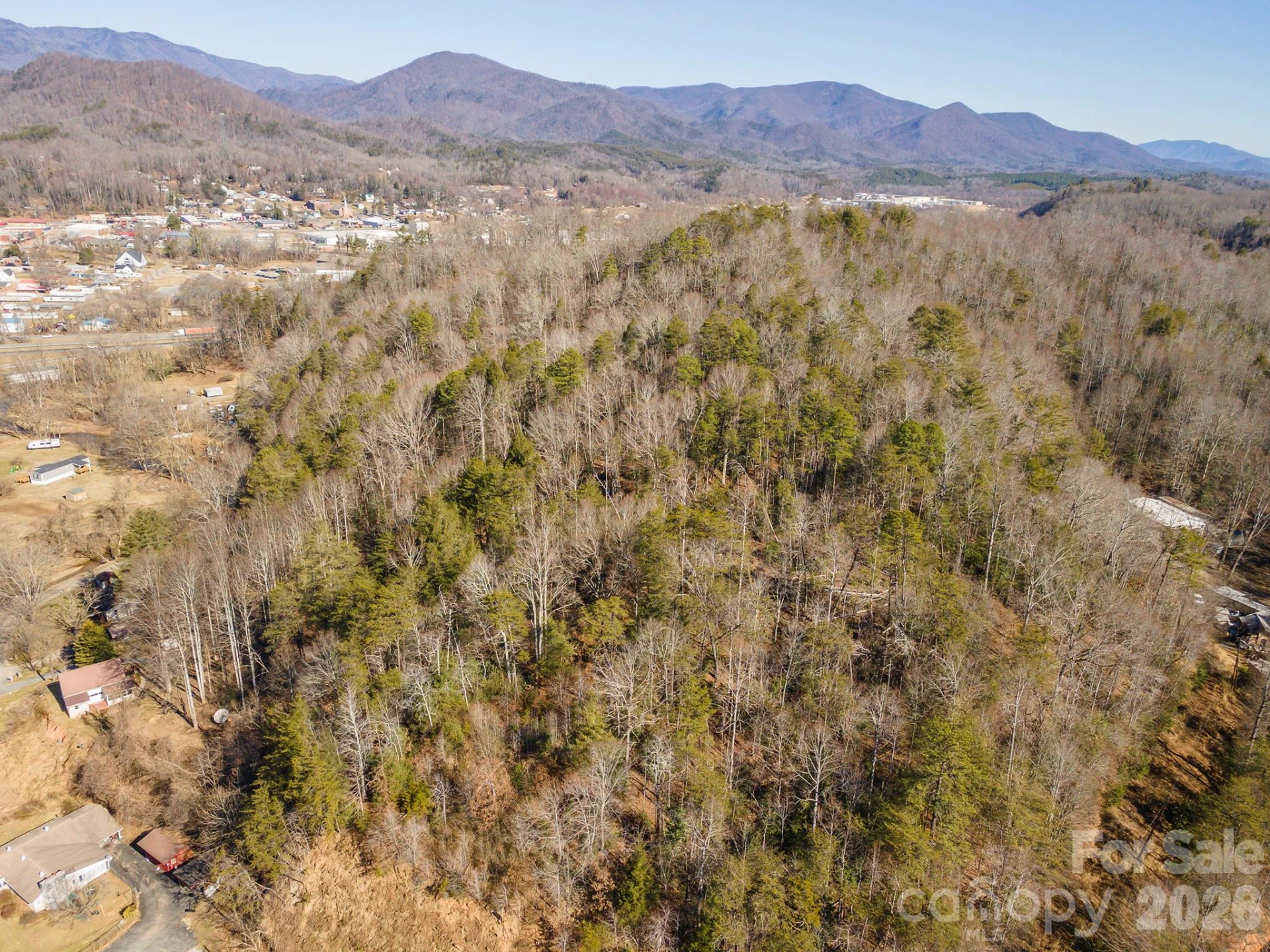 717 Bat Cave Road - Photo 9