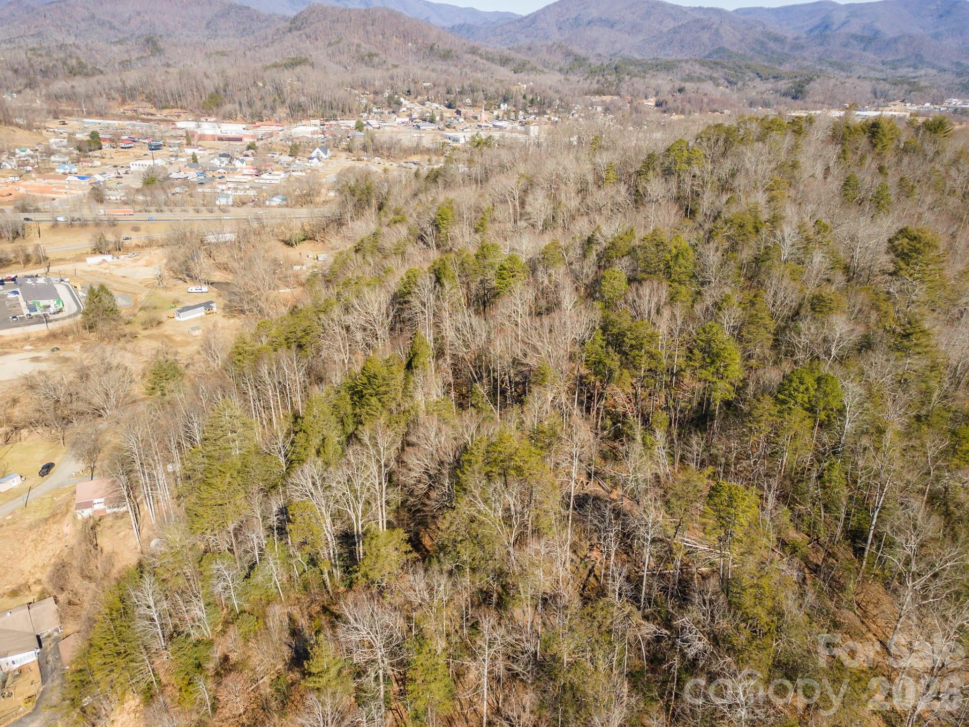 717 Bat Cave Road - Photo 10