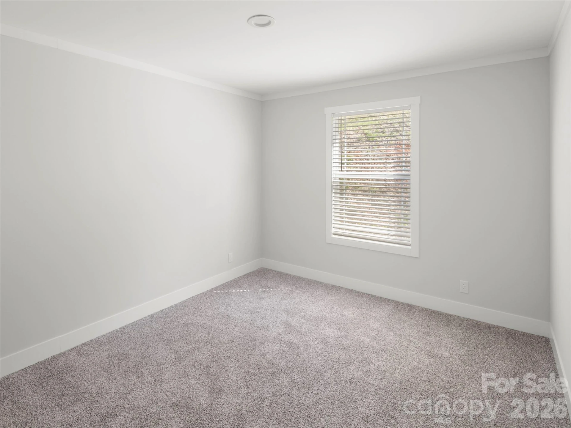 502 Hutch Mountain Road - Photo 19
