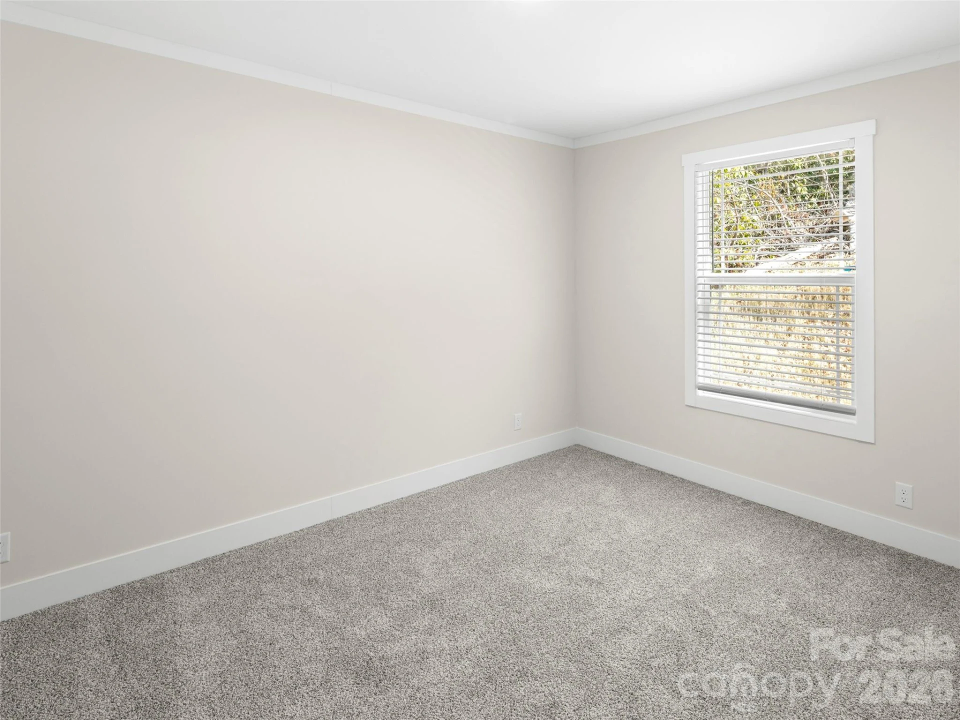 512 Hutch Mountain Road - Photo 18